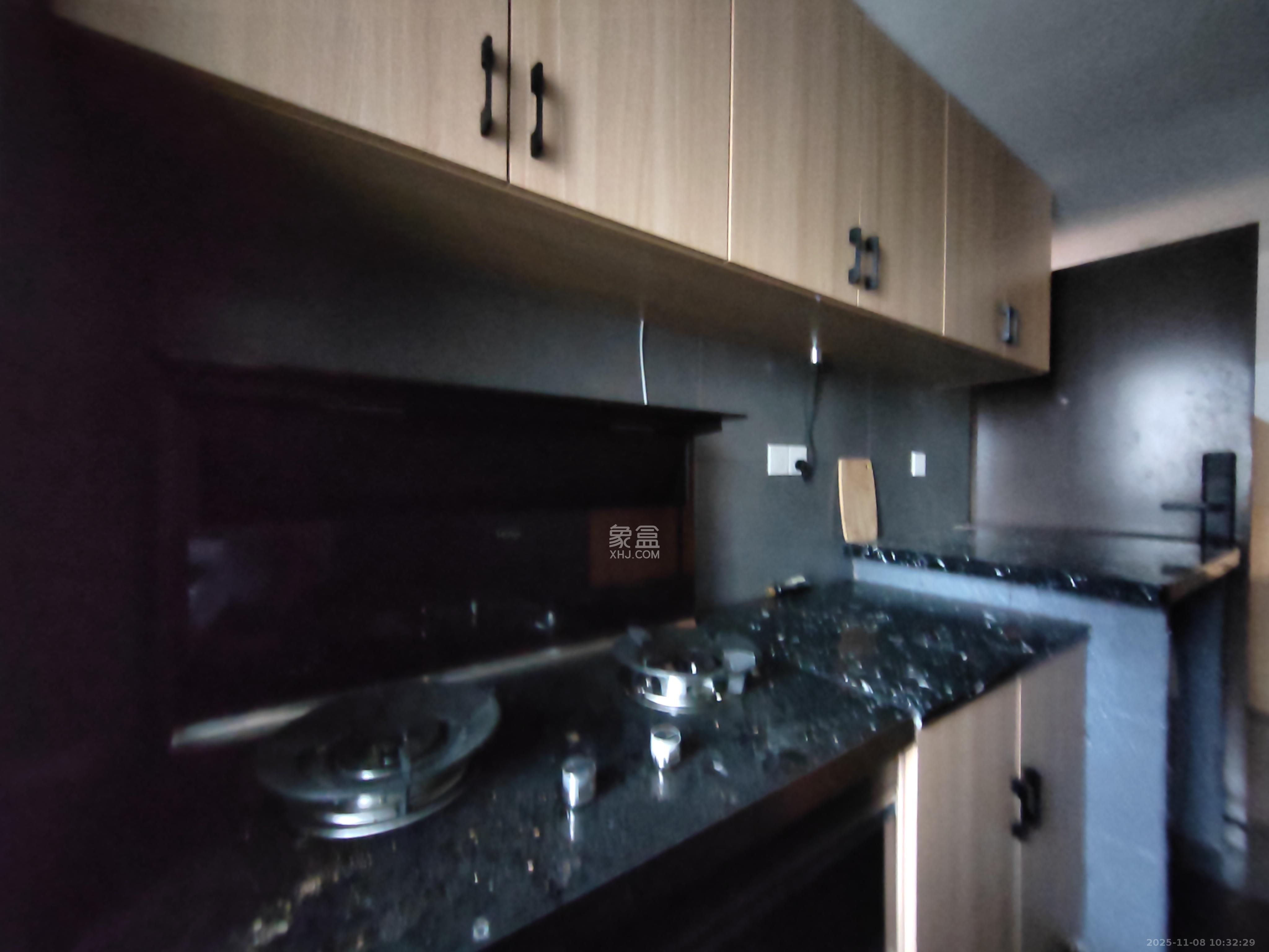 龙湖铂金岛  2室1厅1卫    3000.0元/月室内图