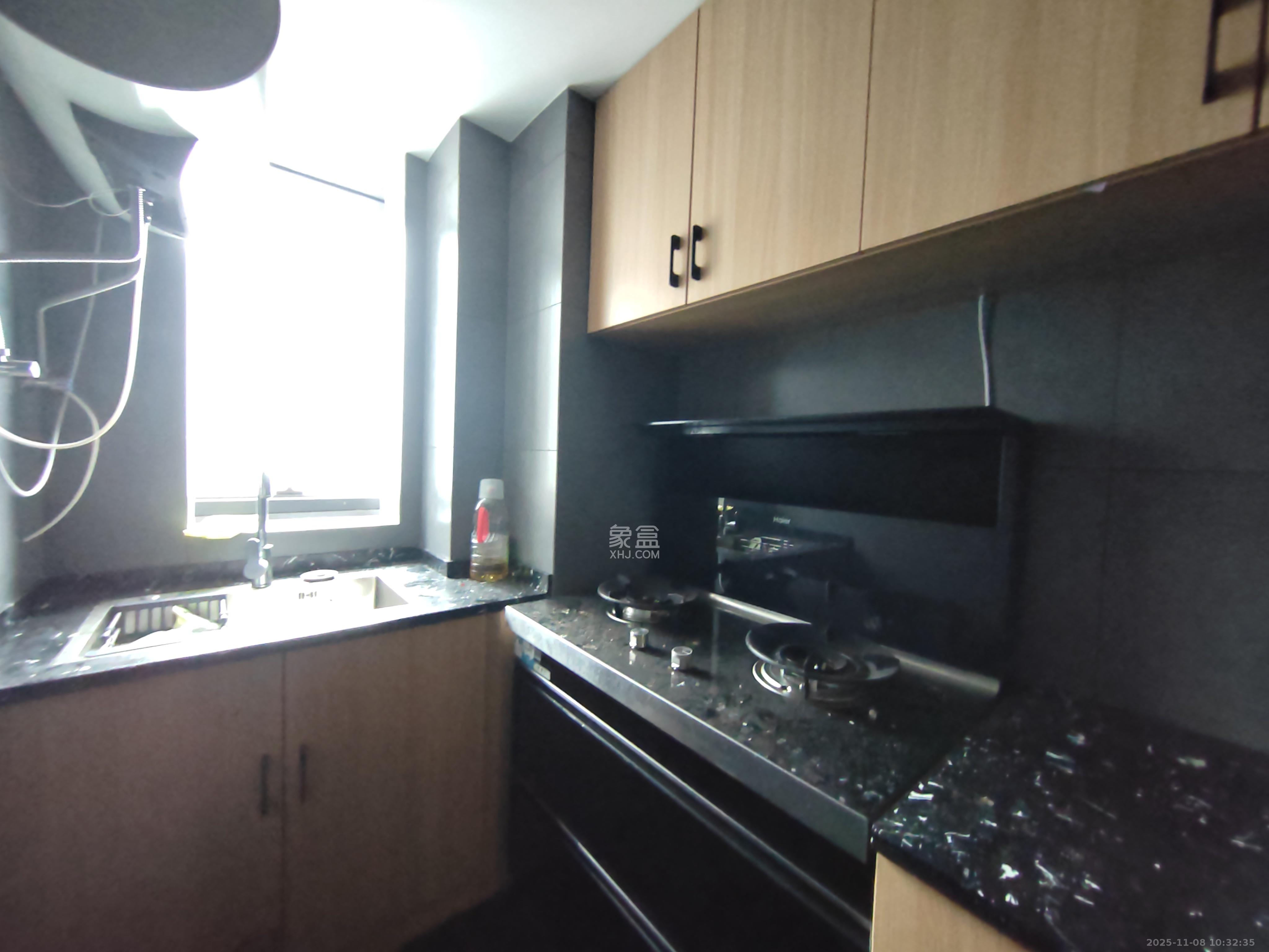 龙湖铂金岛  2室1厅1卫    3000.0元/月室内图