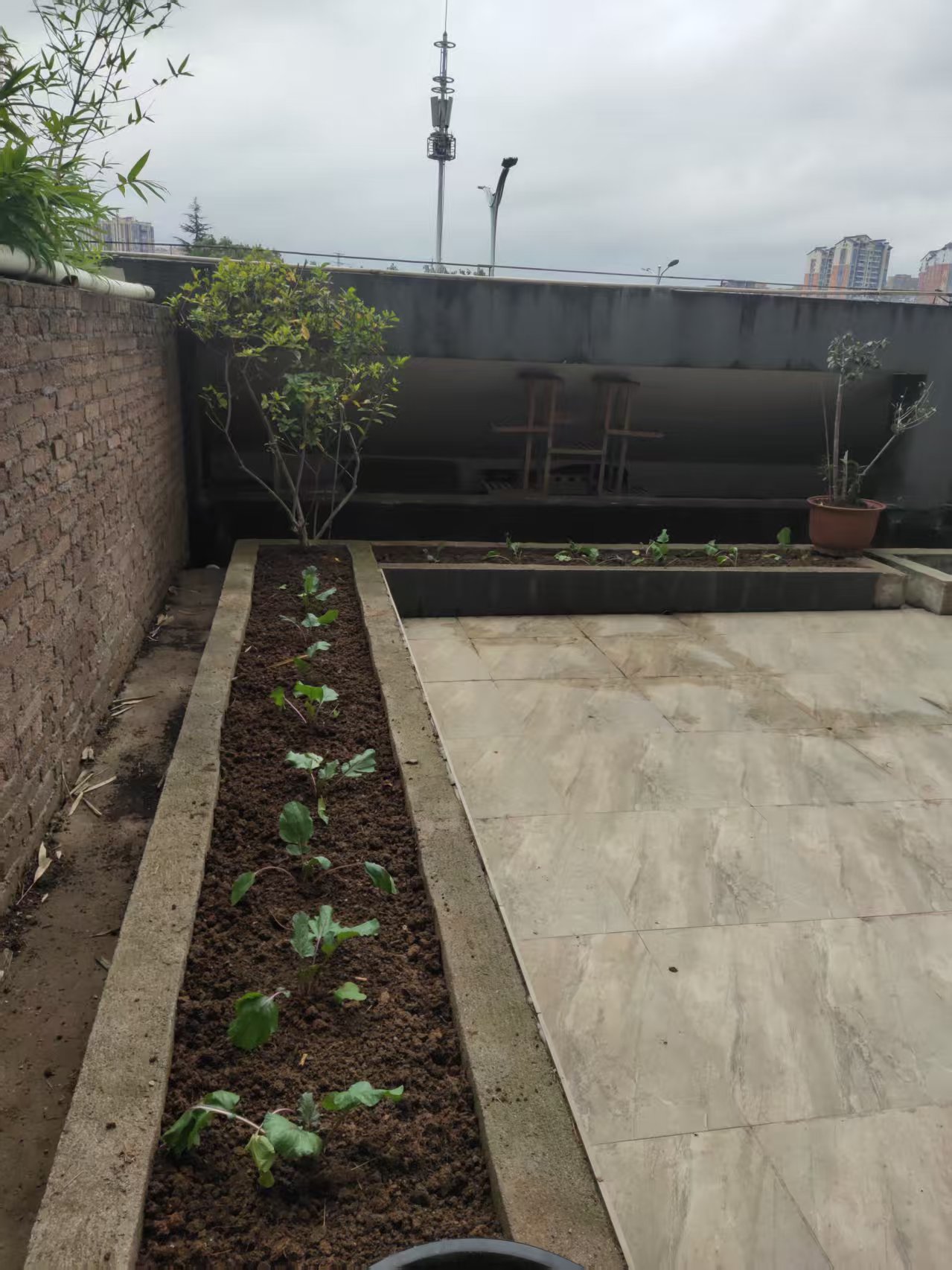 公园世家 2室2厅1卫 1700.0元/月 公园世家 2室2厅1卫 1700.0元/月室内图