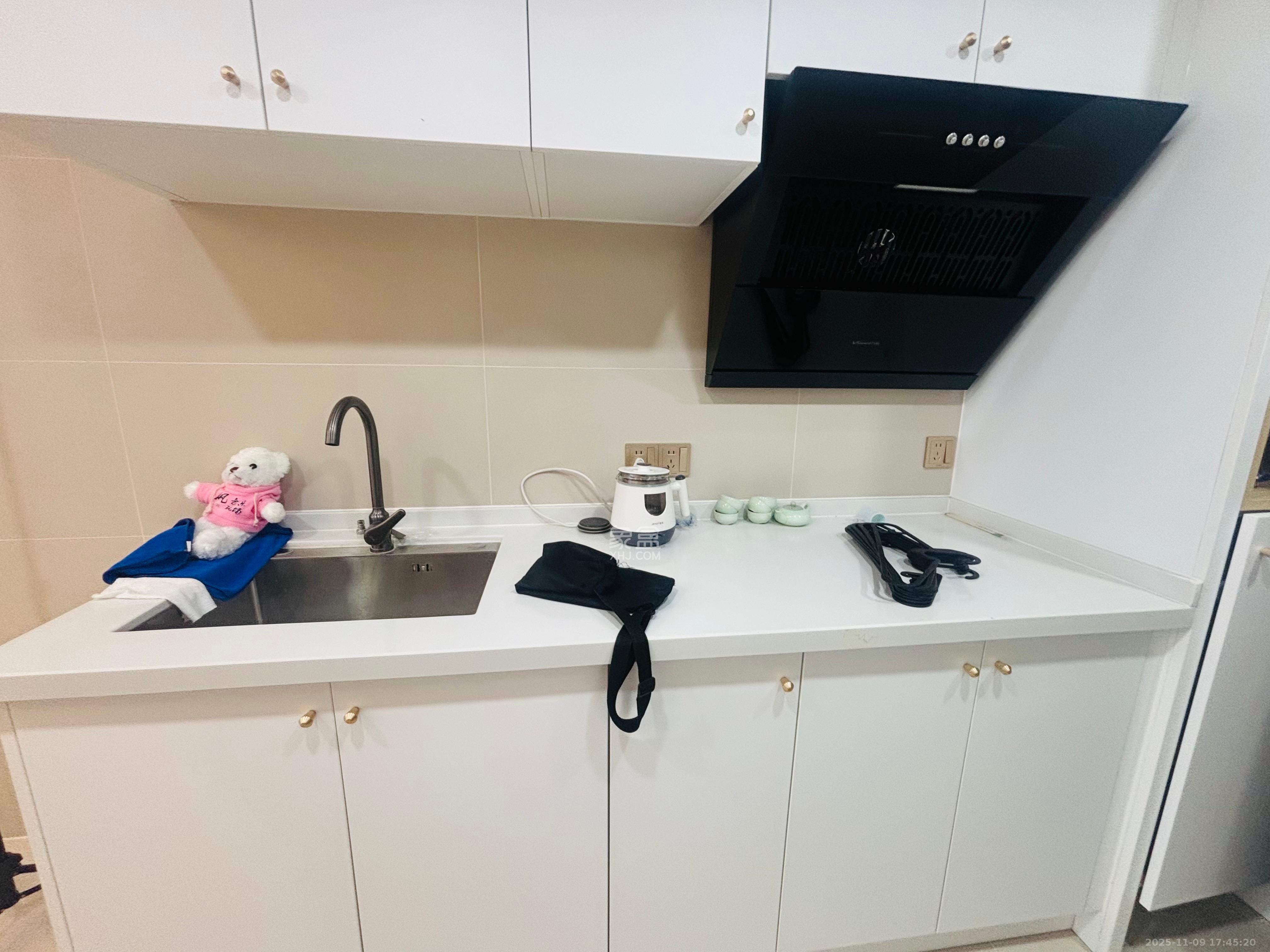 梅溪湖金茂湾  2室0厅0卫    2000.0元/月室内图