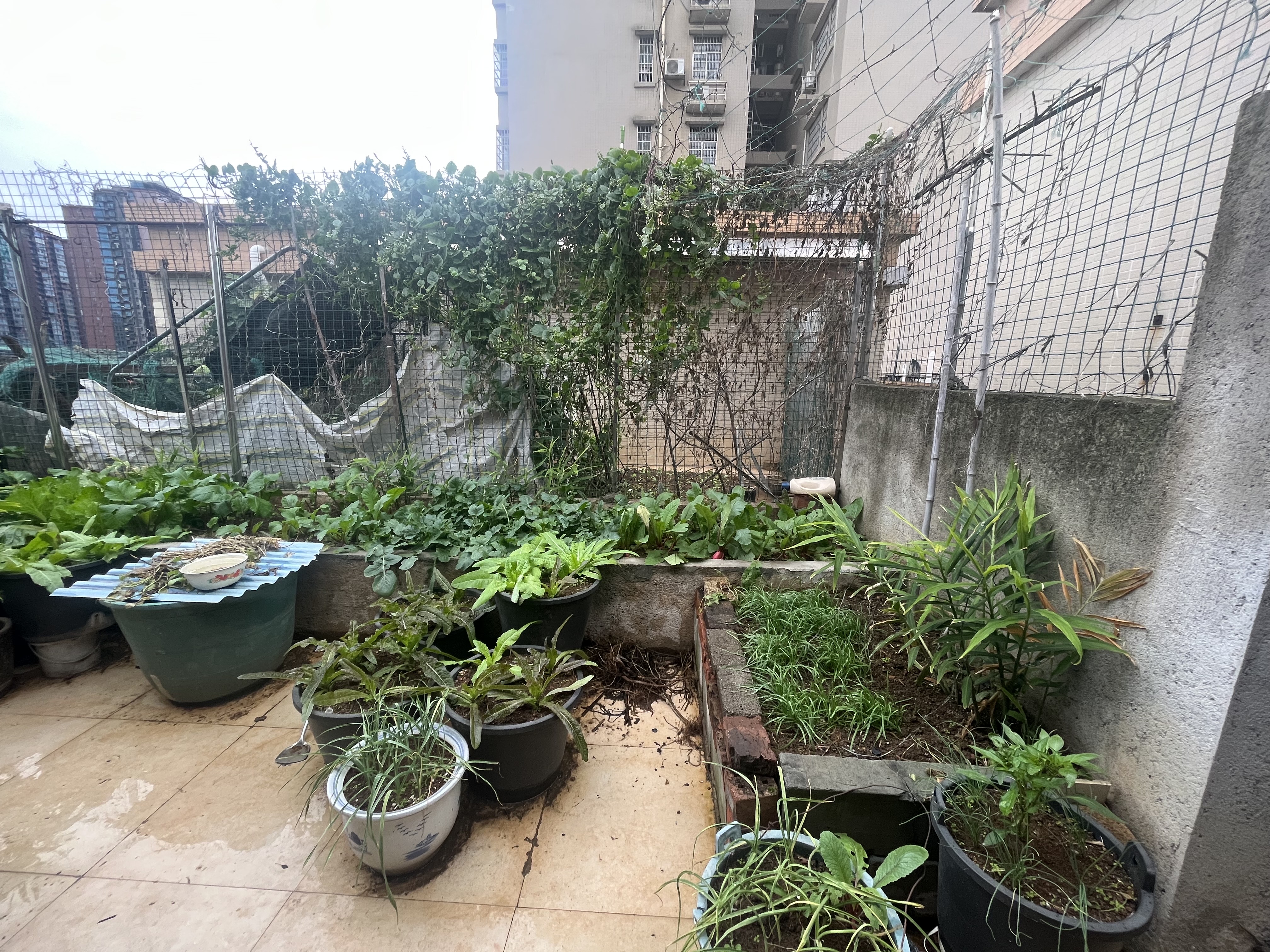 翰林苑  4室2厅3卫    93.8万客厅