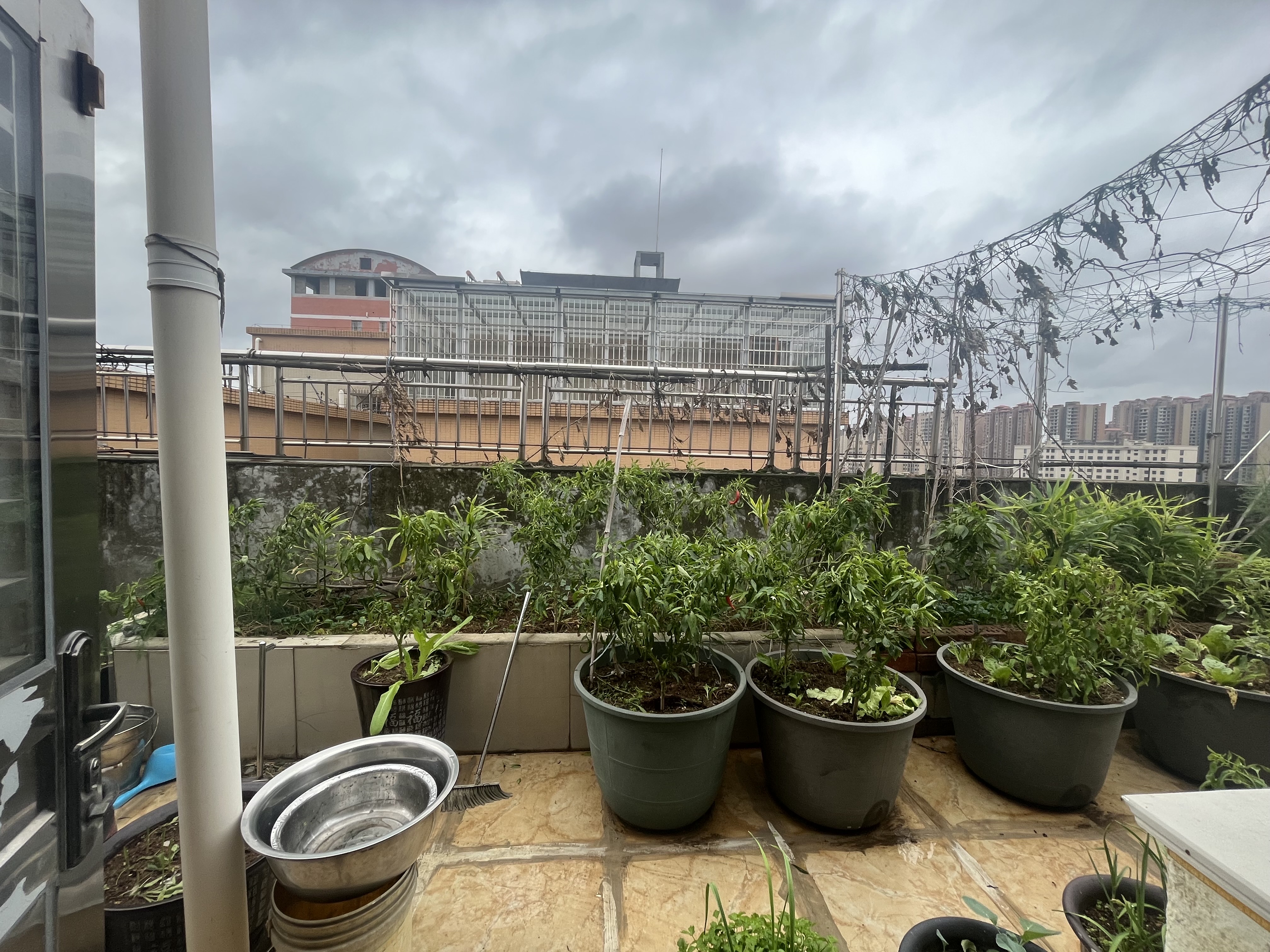 翰林苑  4室2厅3卫    93.8万客厅