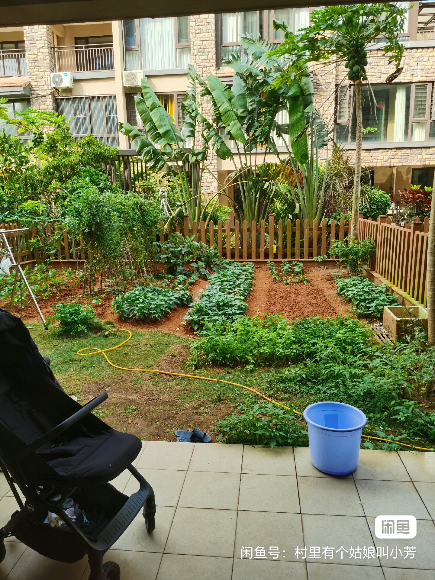 信达海天下  3室2厅3卫    539.0万