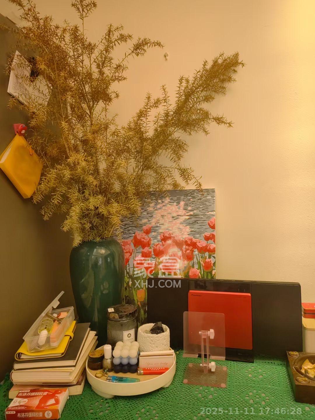 奥林匹克花园贡院三期  1室1厅1卫    1600.0元/月室内图