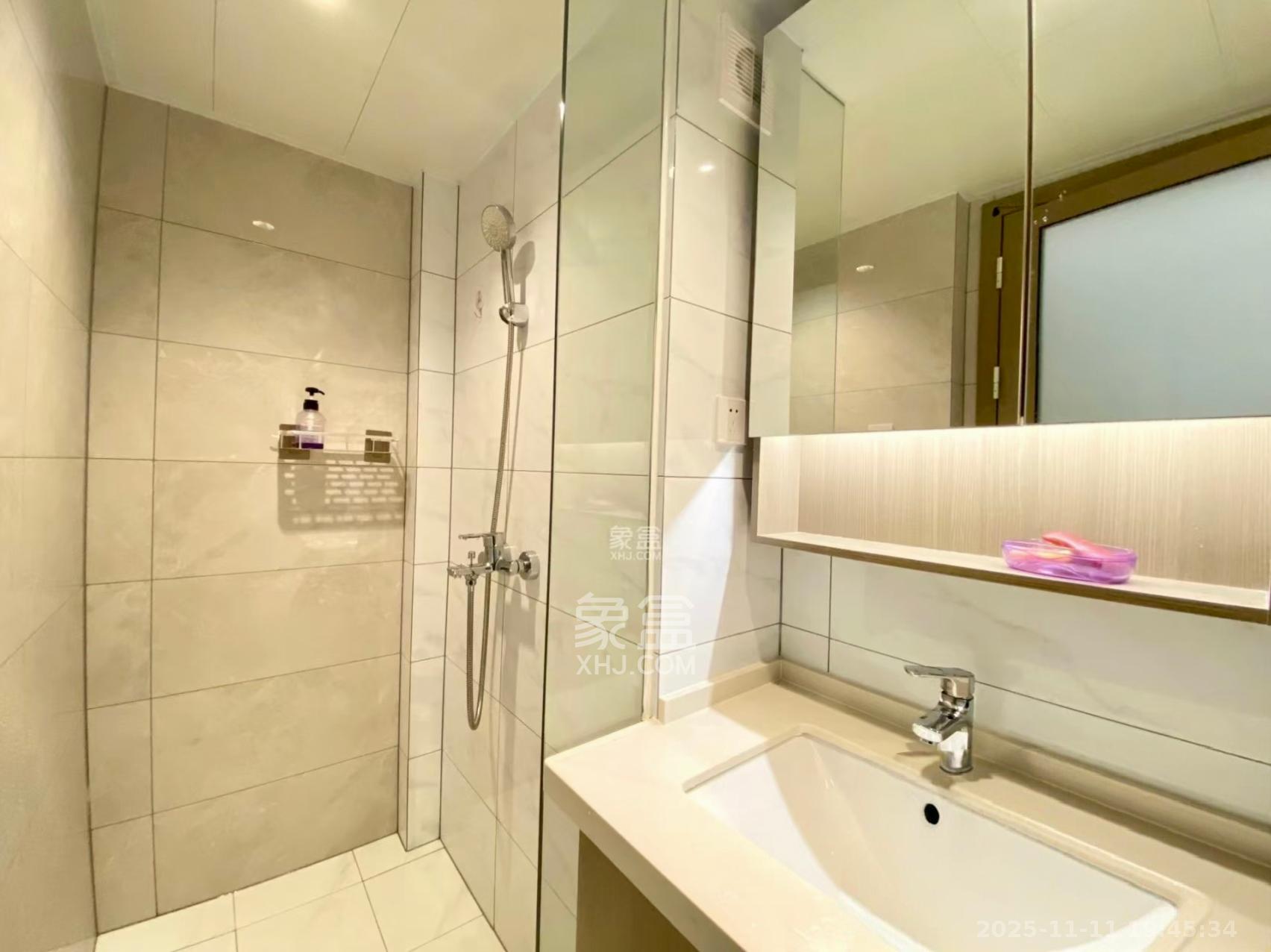 藏珑湖上公馆  1室1厅1卫    2400.0元/月室内图