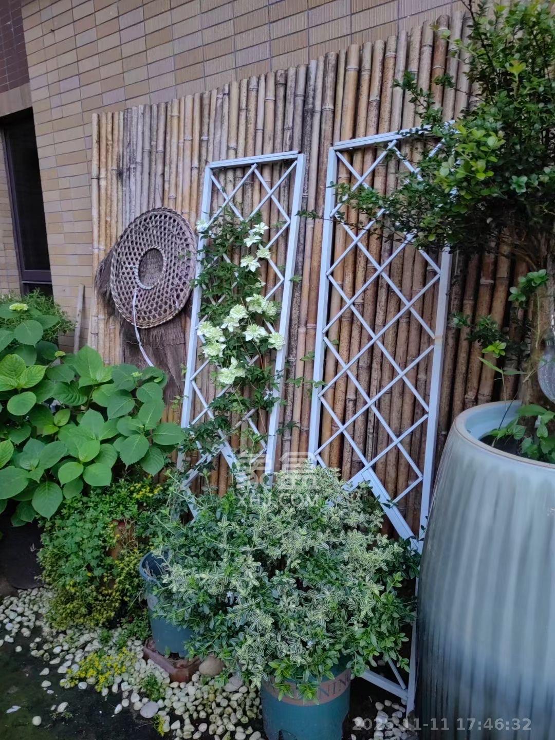 奥林匹克花园贡院三期  1室1厅1卫    1600.0元/月室内图