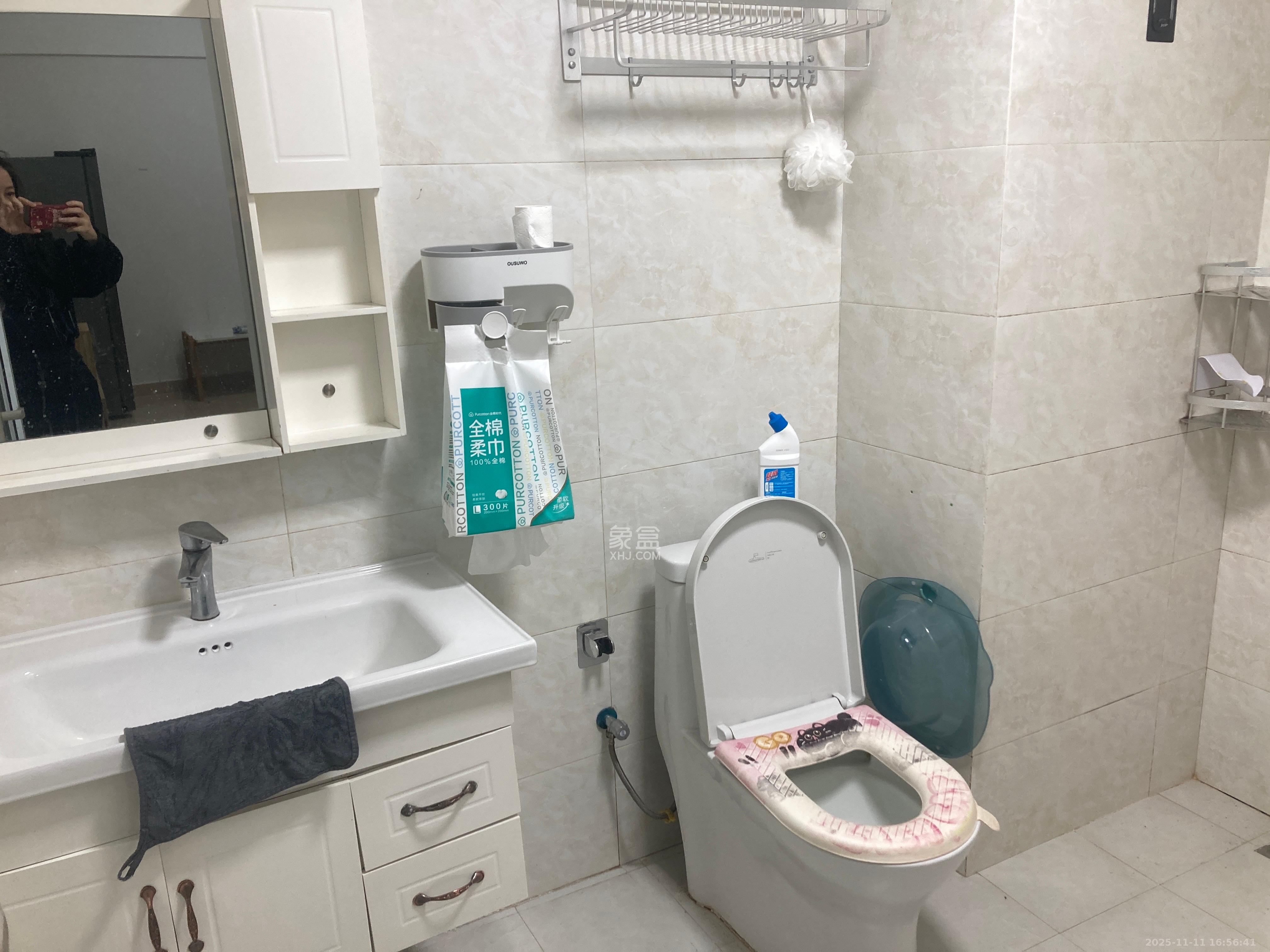 北辰三角洲E4区  2室1厅1卫    2500.0元/月室内图