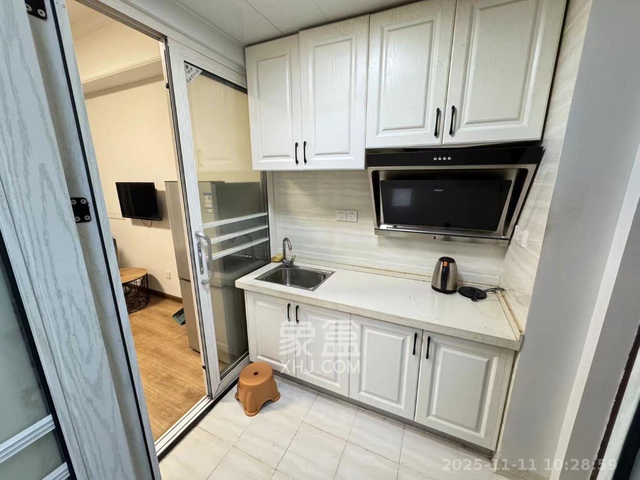 洋湖时代  1室1厅1卫    1200.0元/月