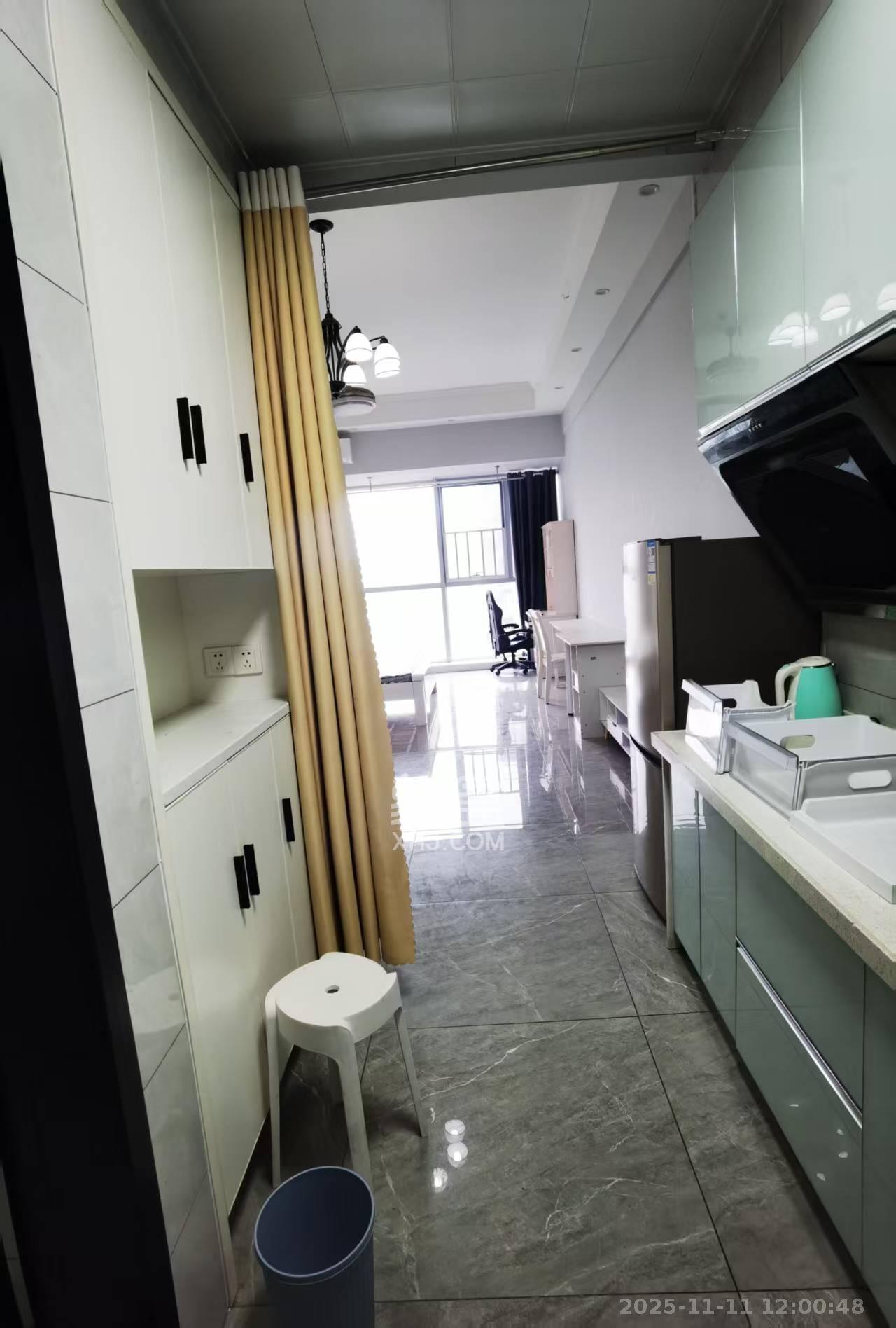 奥克斯滨仕花园（奥克斯洋湖广场/奥克斯中心）  1室1厅1卫    1700.0元/月室内图