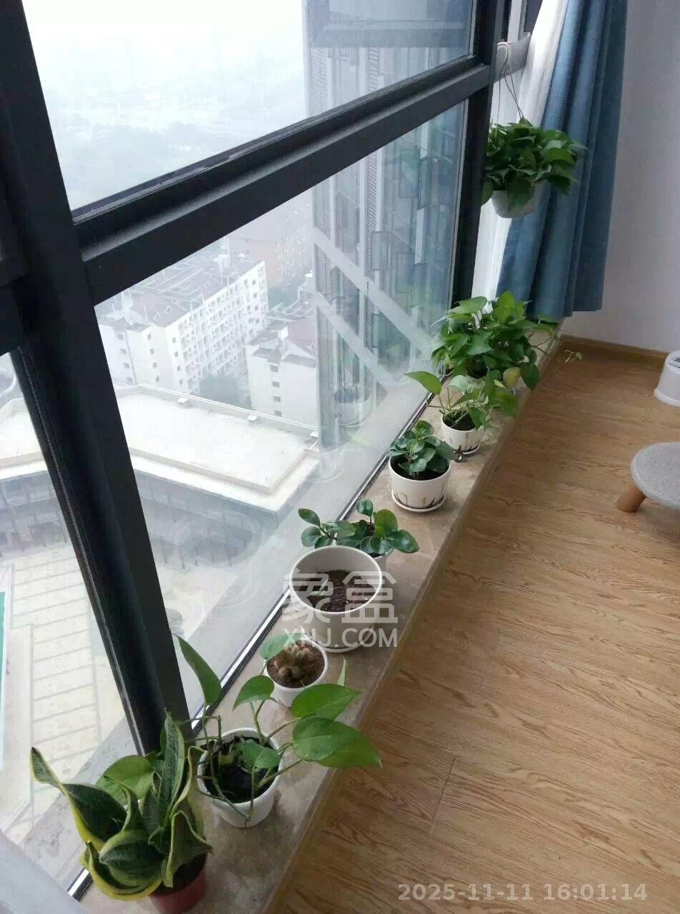 融科东南海  1室0厅1卫    1400.0元/月室内图