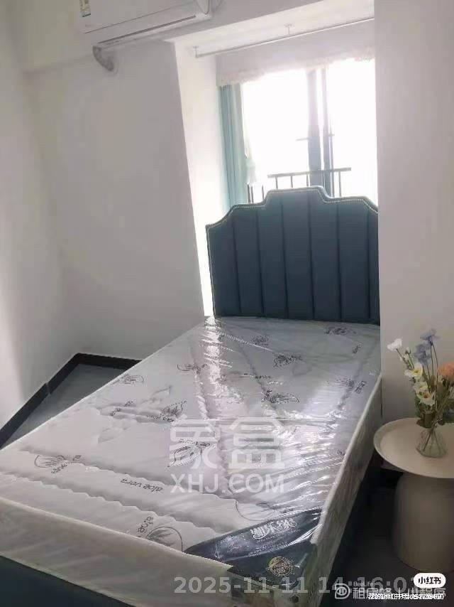 碧桂园印象  1室1厅1卫    1600.0元/月室内图