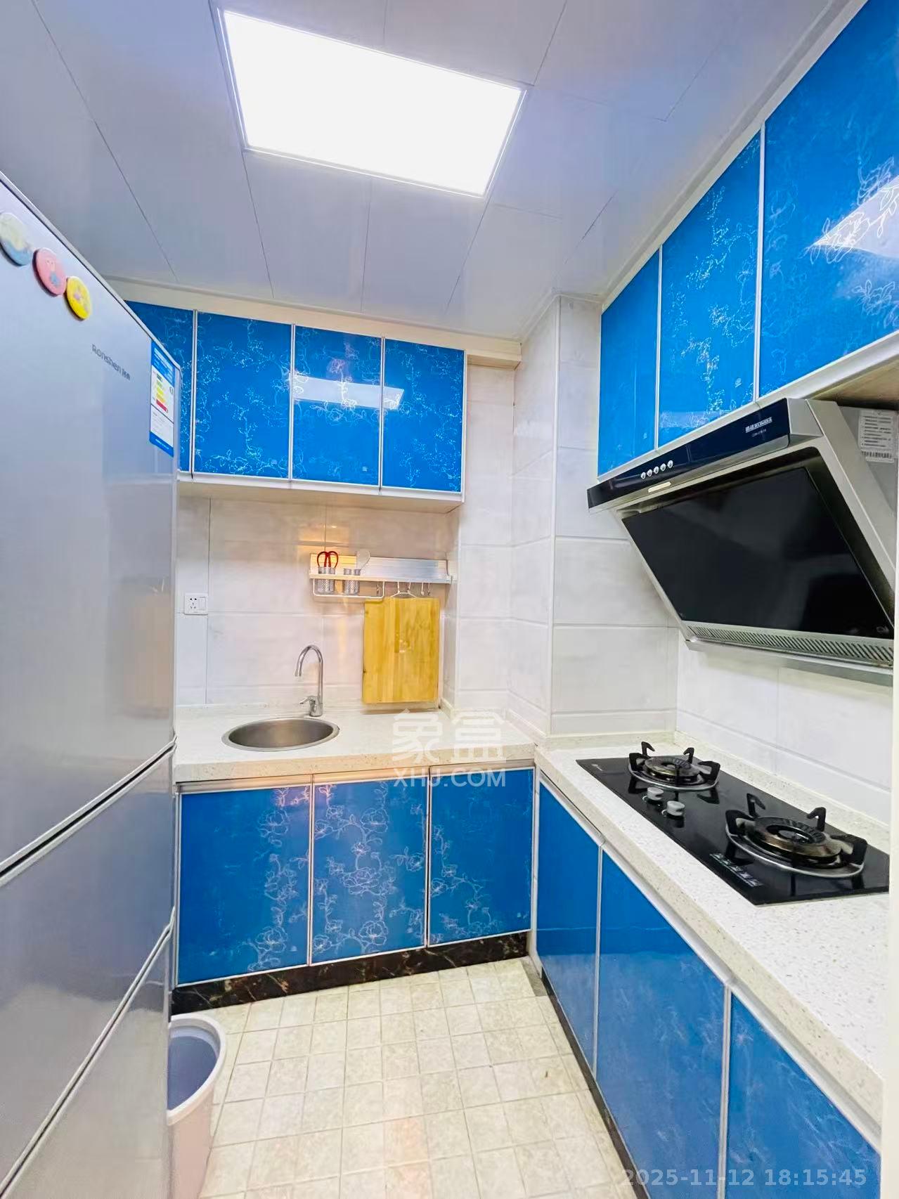 观园国际公寓  1室1厅1卫    2000.0元/月室内图