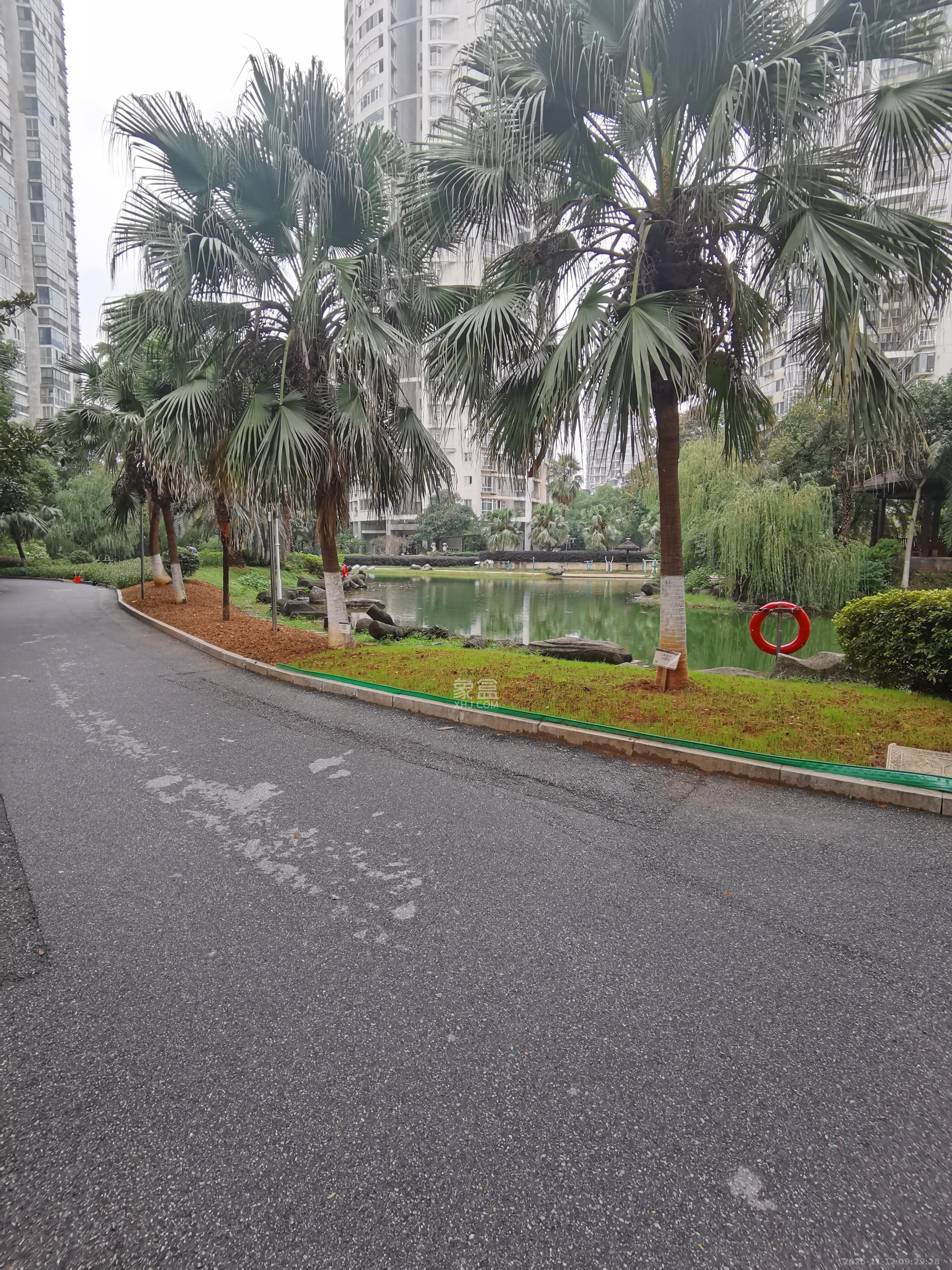 顺天黄金海岸  3室2厅2卫    2600.0元/月小区图