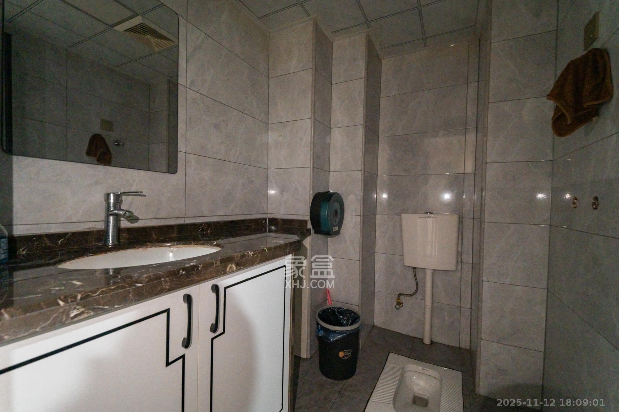 国泰九龙湾  1室1厅1卫    19.8万卫生间