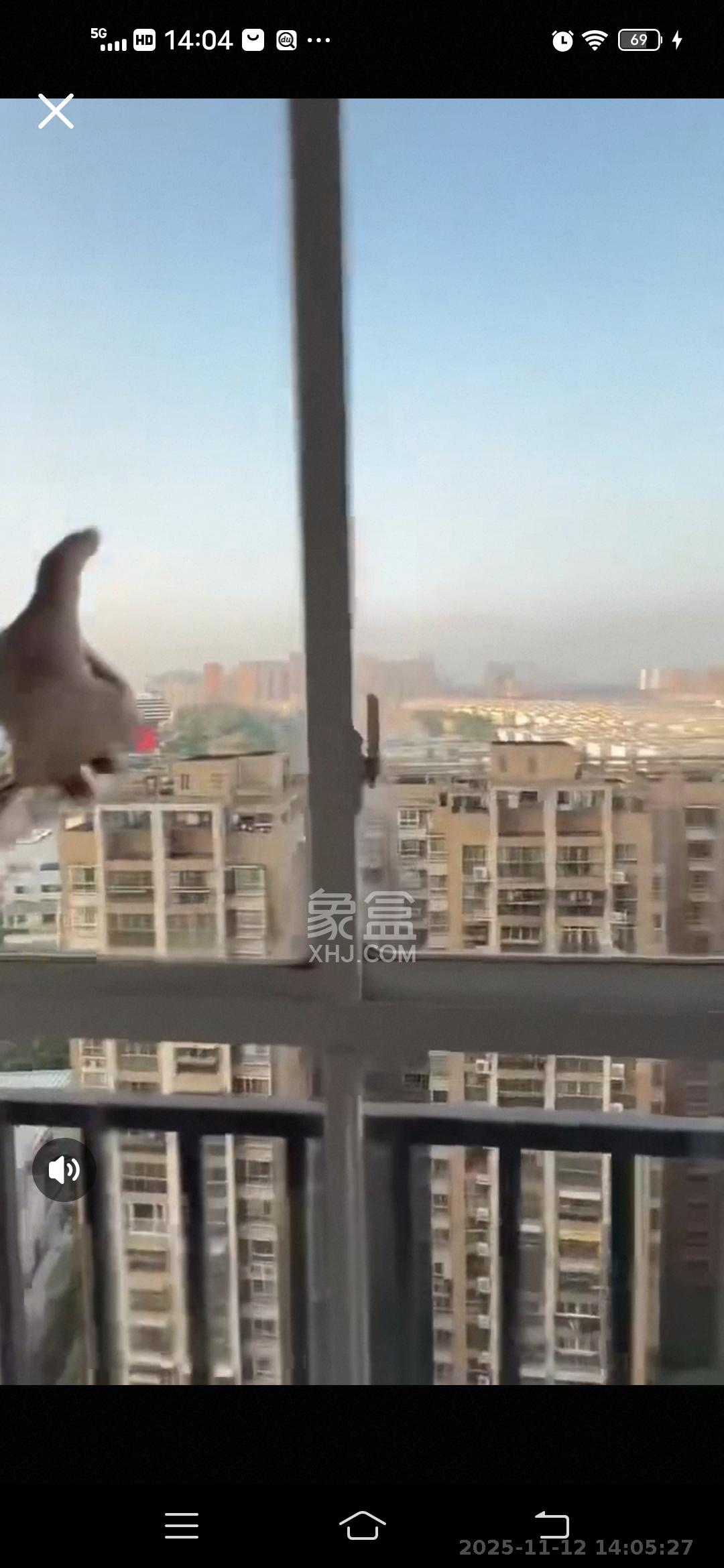 紫晶城  2室1厅1卫    1600.0元/月室内图