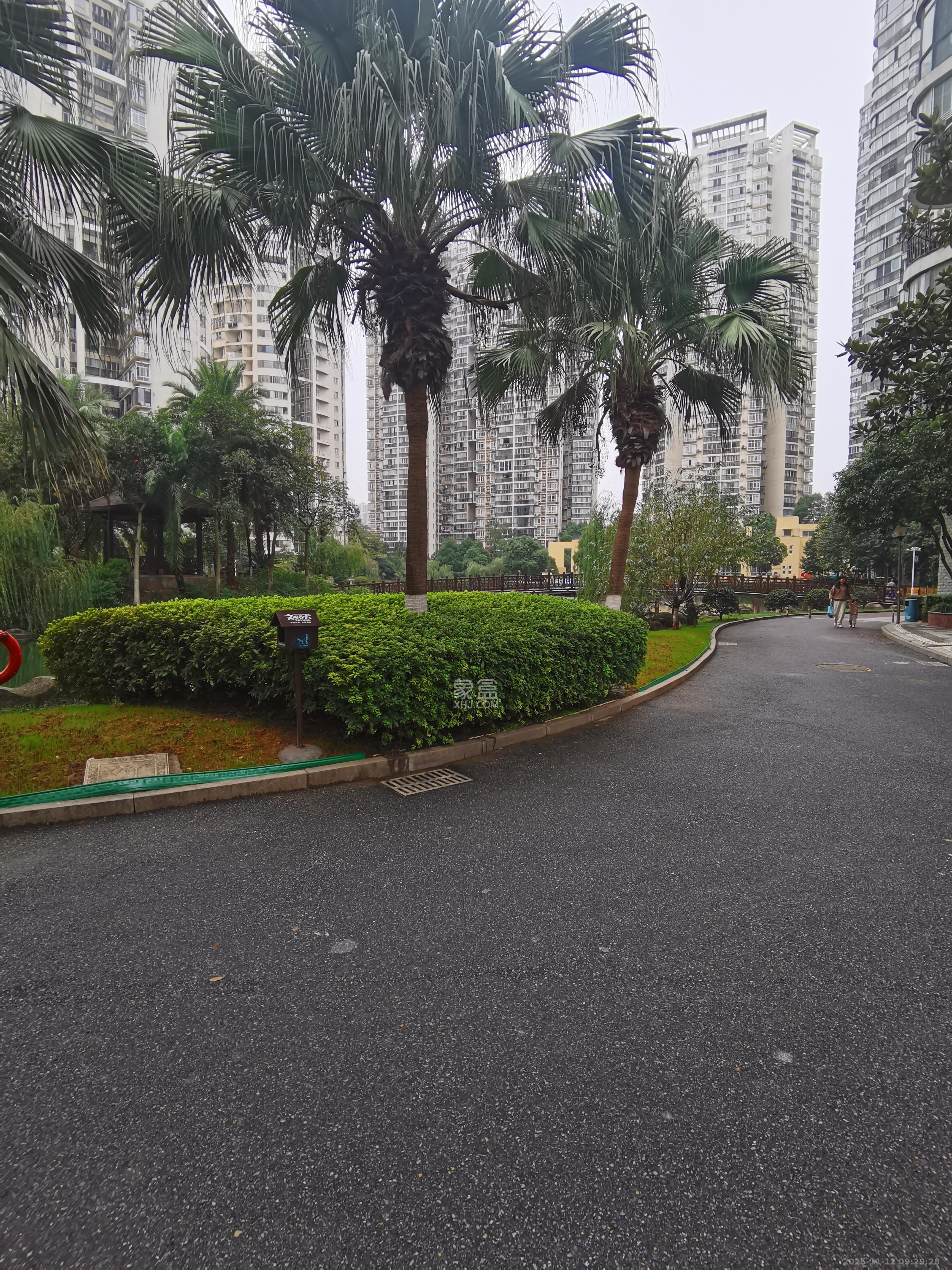 顺天黄金海岸  3室2厅2卫    2600.0元/月小区图