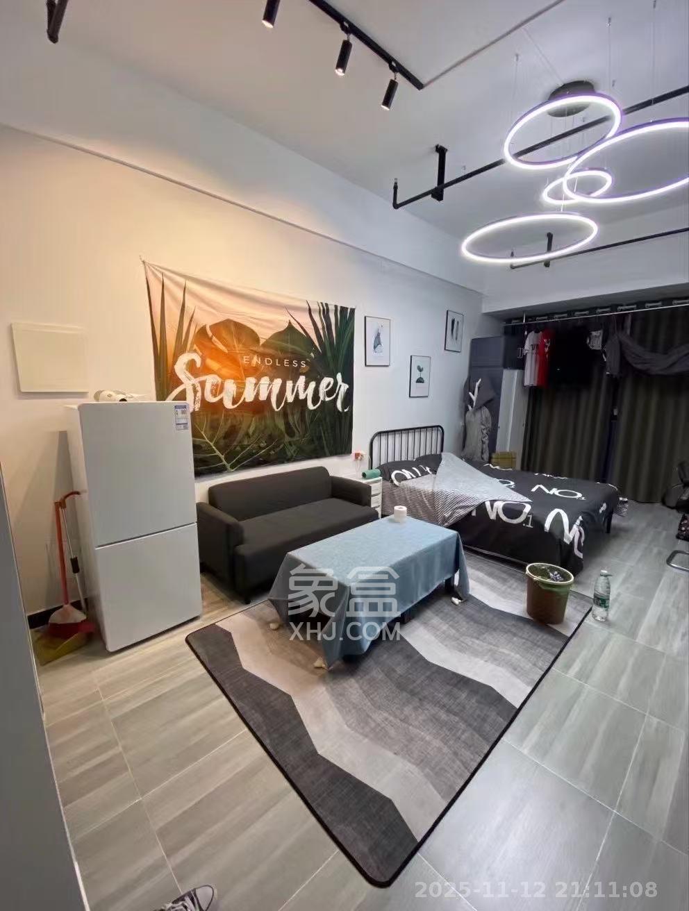 奥克斯滨仕花园（奥克斯洋湖广场/奥克斯中心）  1室1厅1卫    1500.0元/月室内图