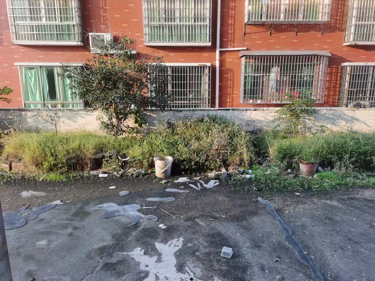 金鹿花园 3室1厅2卫 900.0元/月 金鹿花园 3室1厅2卫 900.0元/月室内图