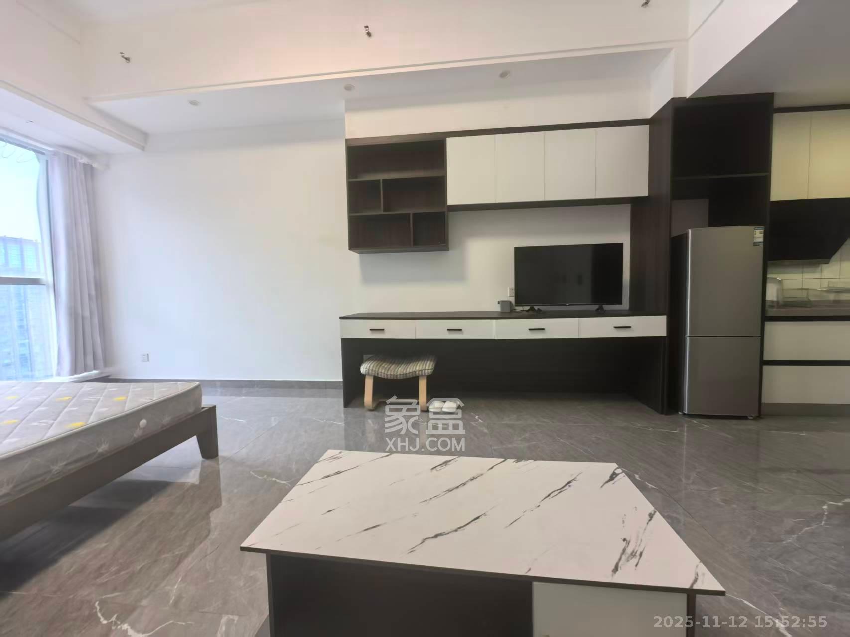 奥克斯滨仕花园（奥克斯洋湖广场/奥克斯中心）  1室1厅1卫    1700.0元/月室内图