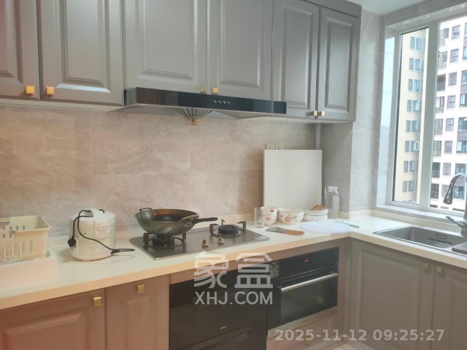 金地铂悦 4室2厅2卫 2700.0元/月 金地铂悦 4室2厅2卫 2700.0元/月室内图