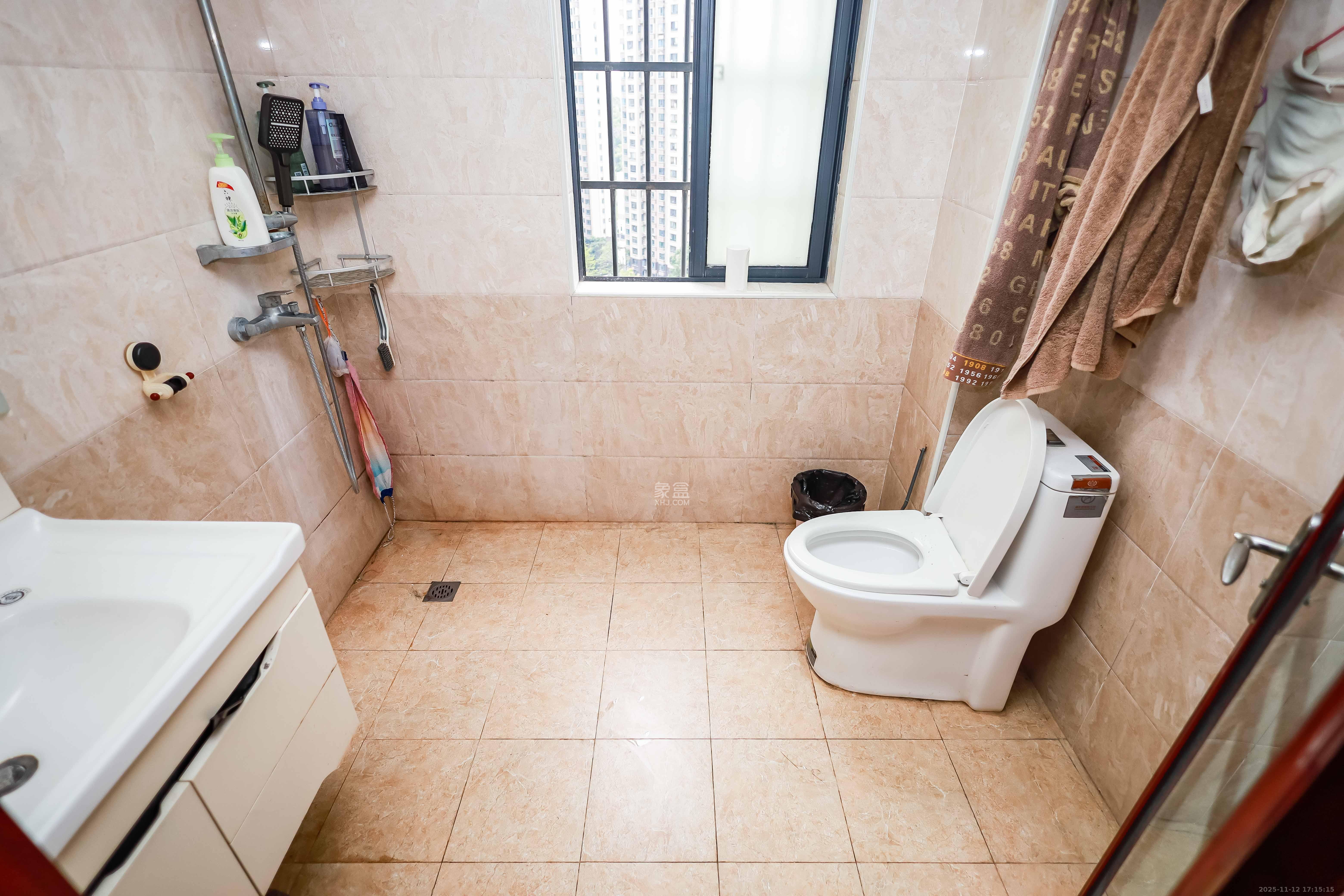 天麓尚层  4室2厅2卫    98.0万卫生间