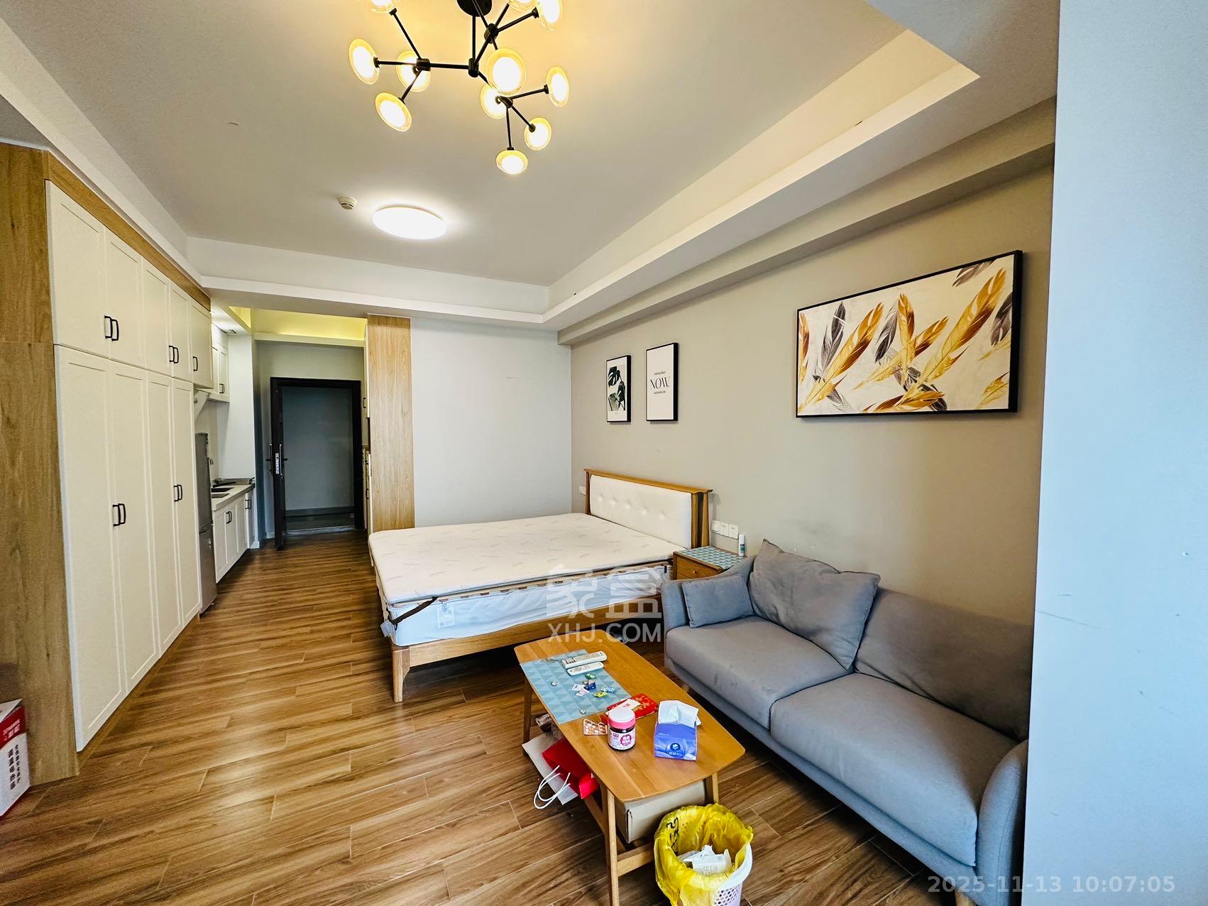 北辰三角洲E4区  1室1厅1卫    2400.0元/月