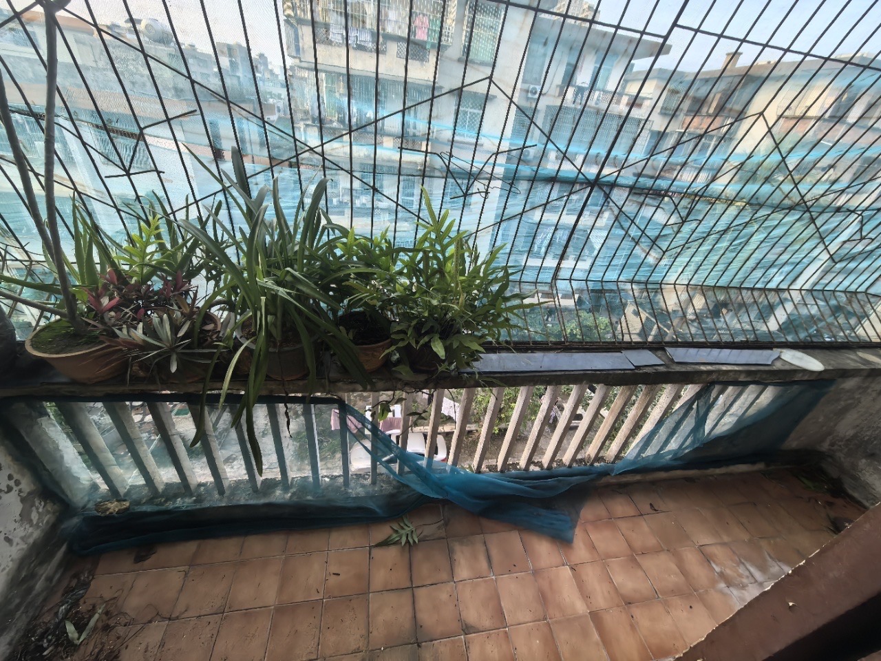 甸花新村 3室2厅1卫 59.0万 甸花新村 3室2厅1卫 59.0万客厅