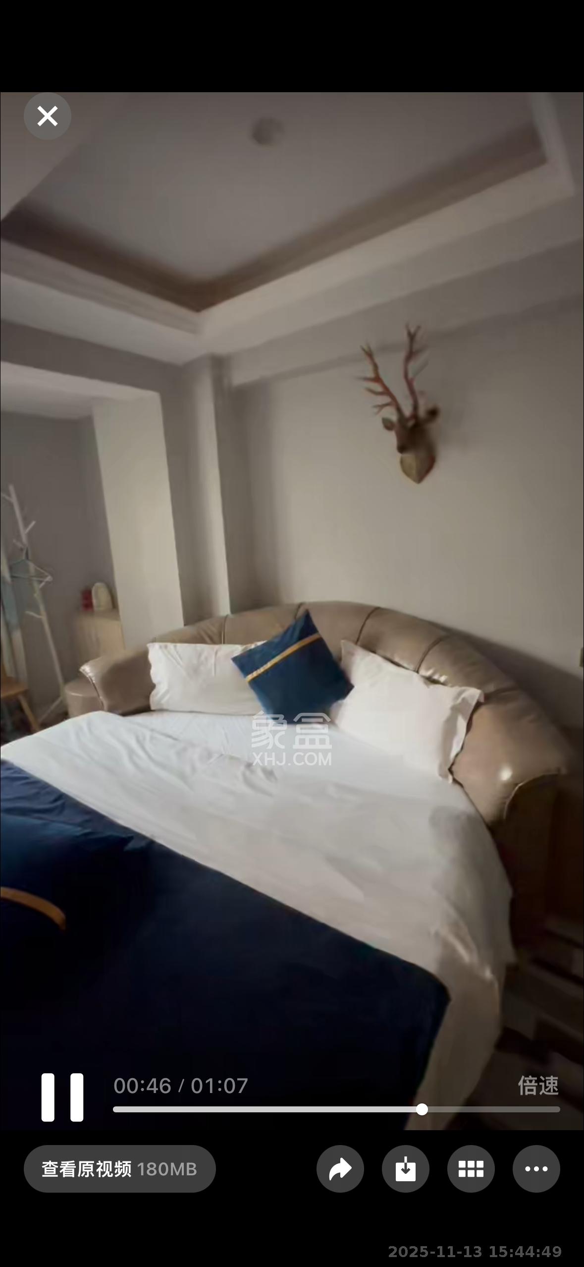 新大新  10室0厅4卫    6500.0元/月室内图