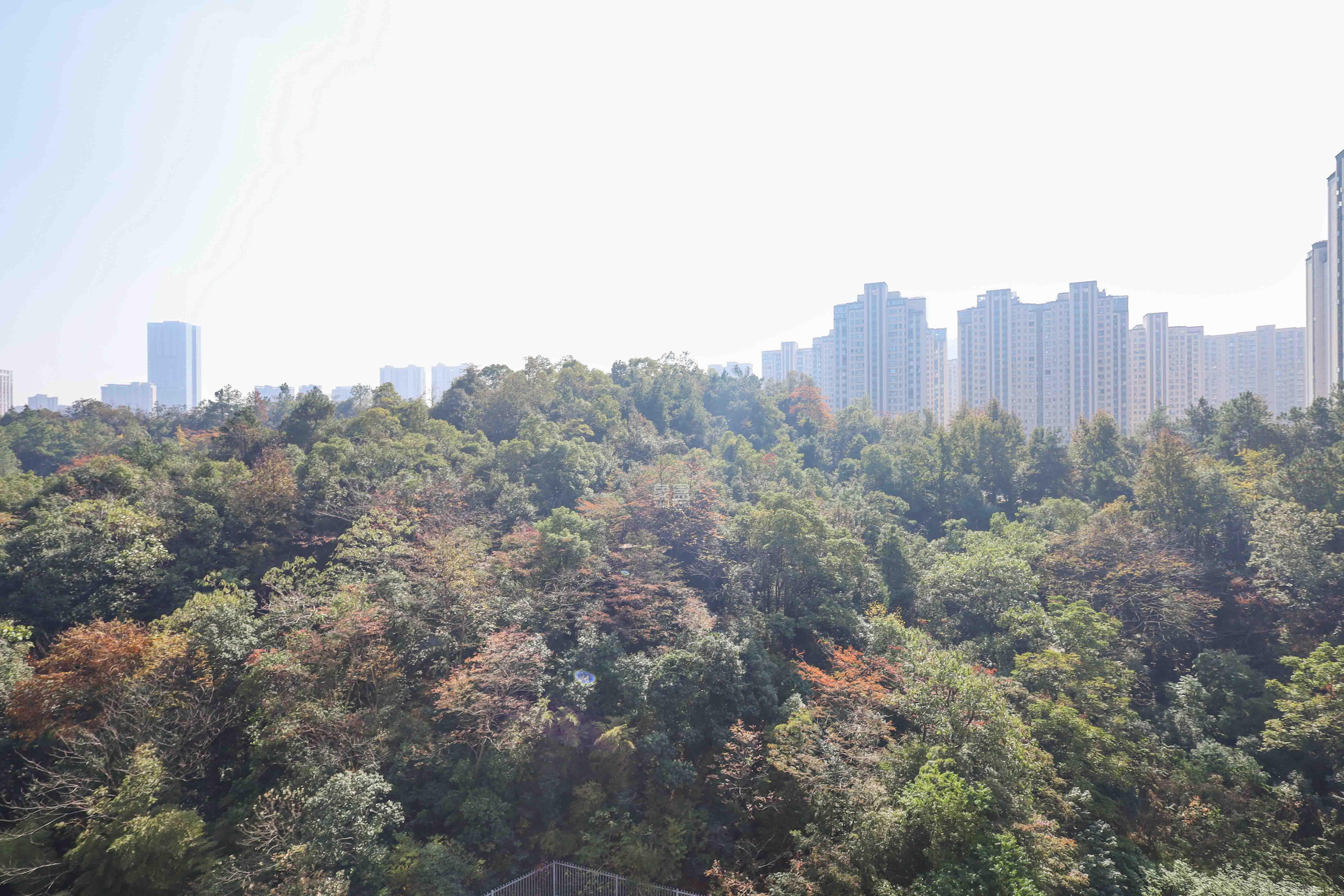 骑龙大街（骑龙苑）  3室2厅2卫    78.0万阳台