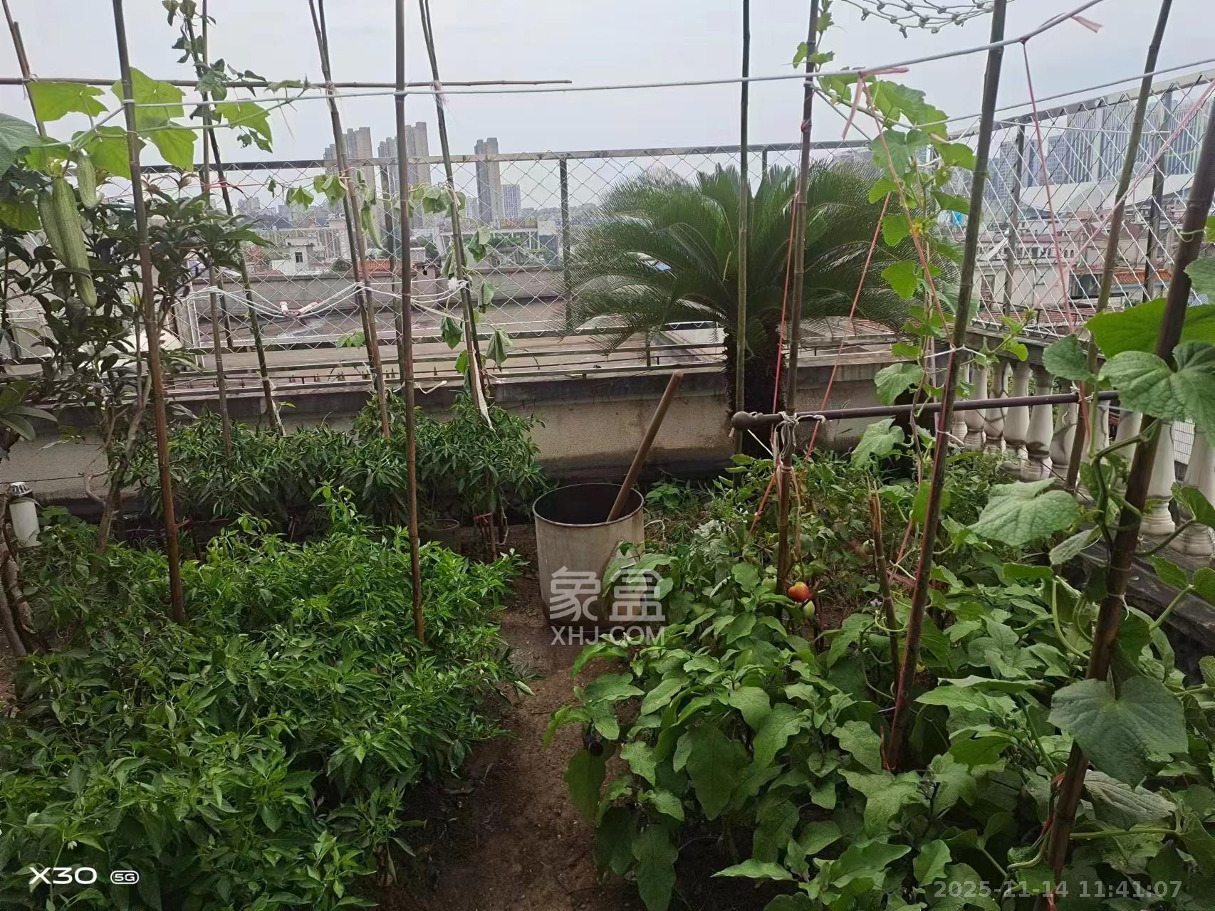 洞井商贸城  5室3厅2卫    2800.0元/月室内图