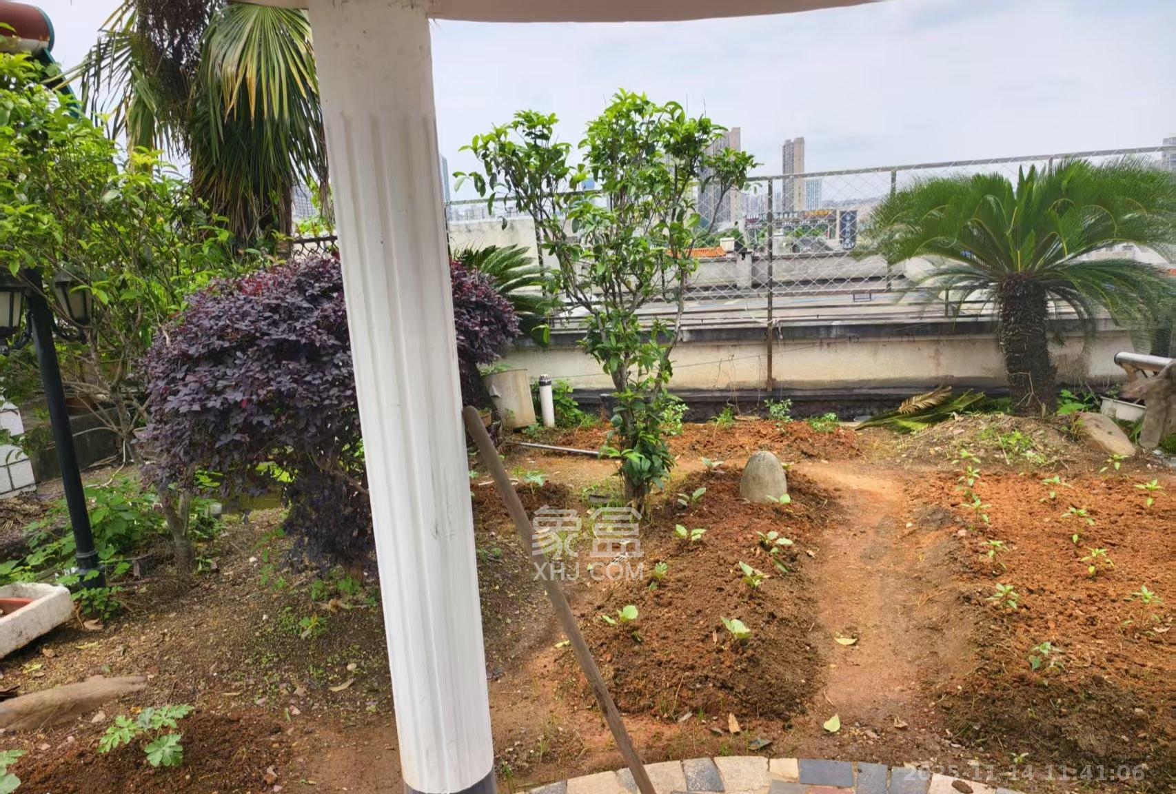 洞井商贸城 5室3厅2卫 2800.0元/月 洞井商贸城 5室3厅2卫 2800.0元/月室内图