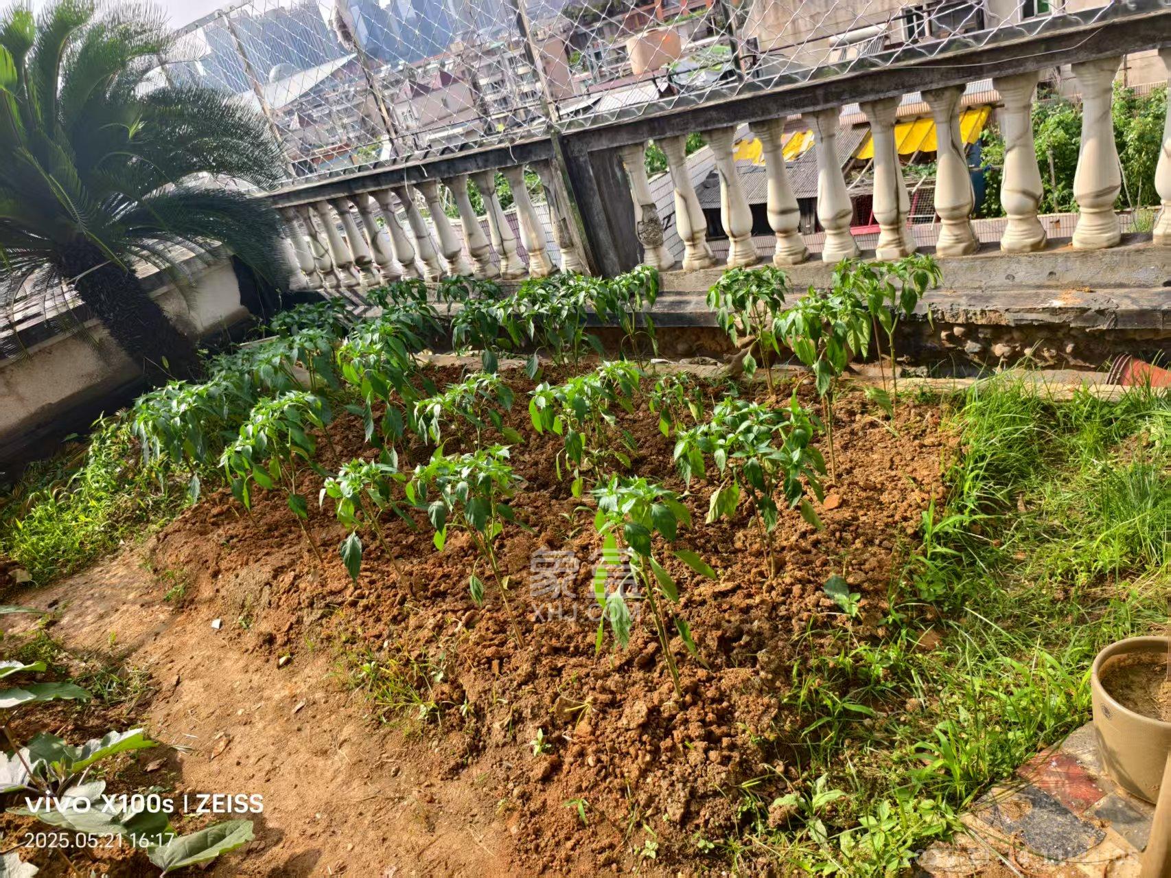 洞井商贸城 5室3厅2卫 2800.0元/月 洞井商贸城 5室3厅2卫 2800.0元/月室内图