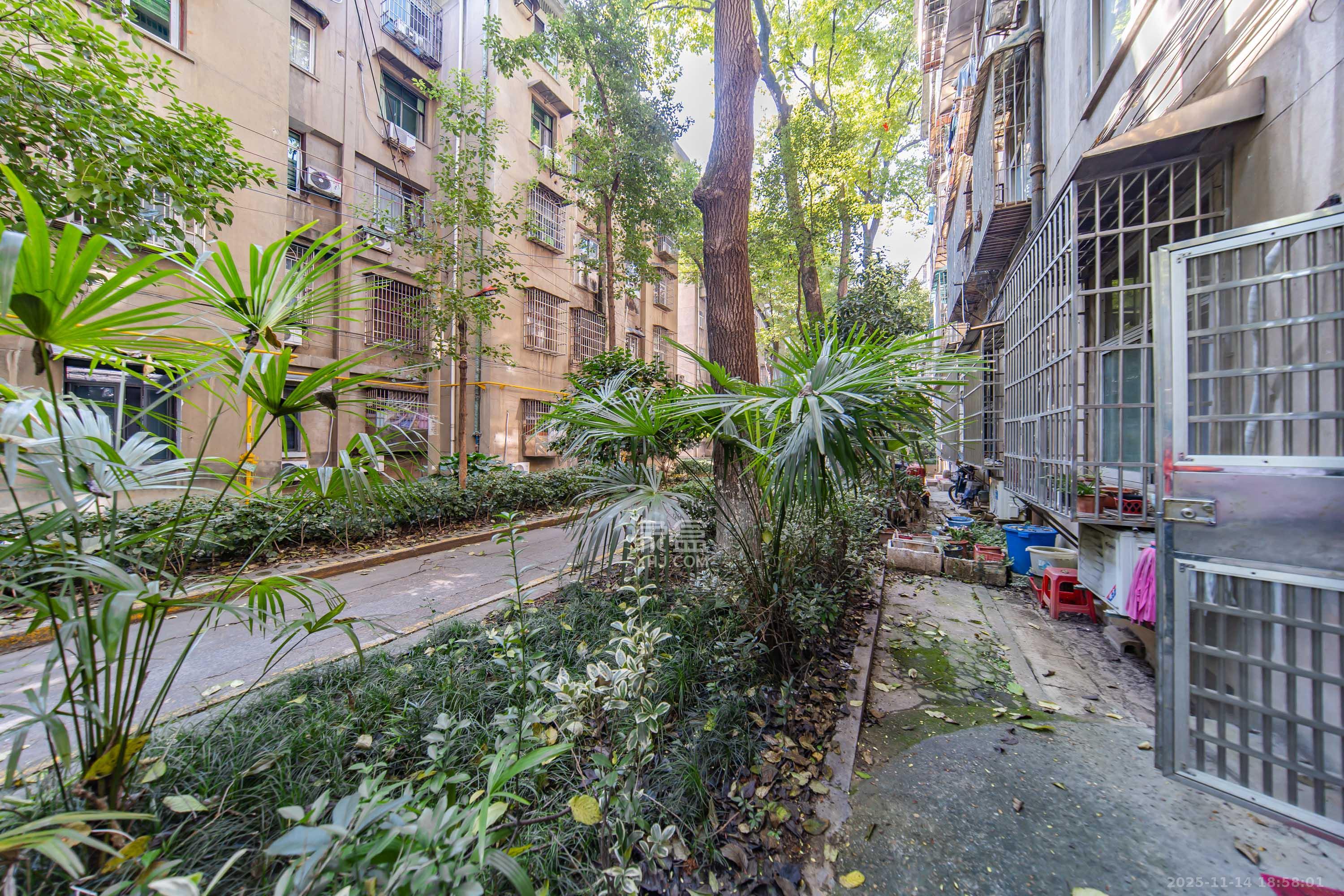 湘雅医院职工宿舍南院 3室1厅1卫 72.0万 湘雅医院职工宿舍南院 3室1厅1卫 72.0万其他