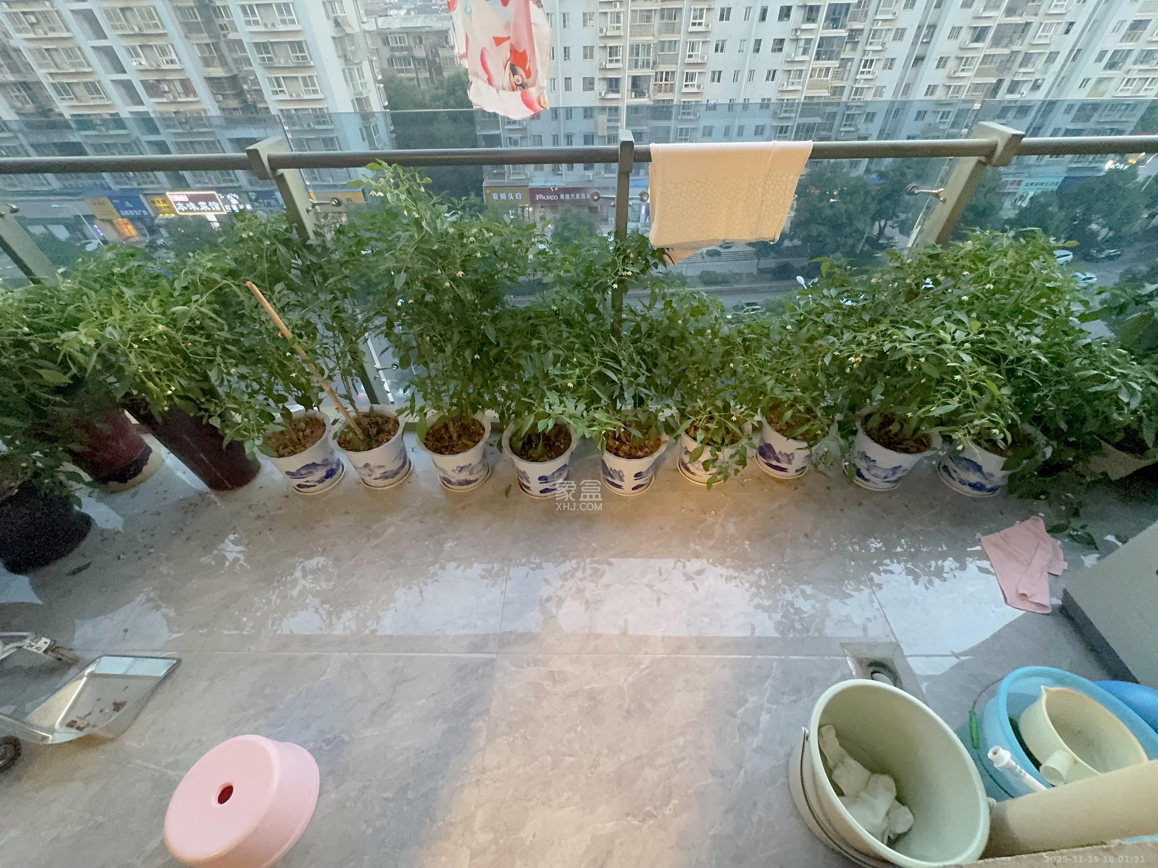 博林金谷  3室2厅2卫    3600.0元/月室内图