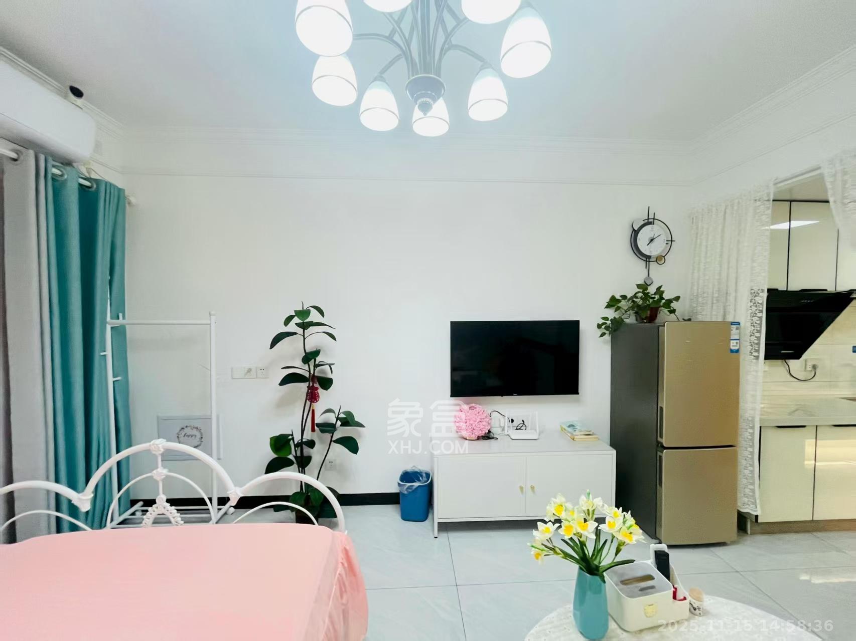 碧桂园城市之光  1室0厅1卫    1550.0元/月室内图