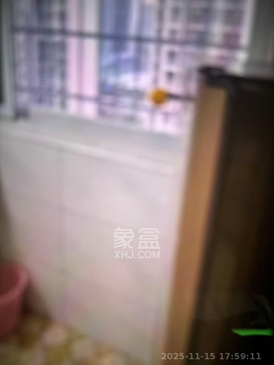 和康园小区  1室1厅1卫    900.0元/月室内图