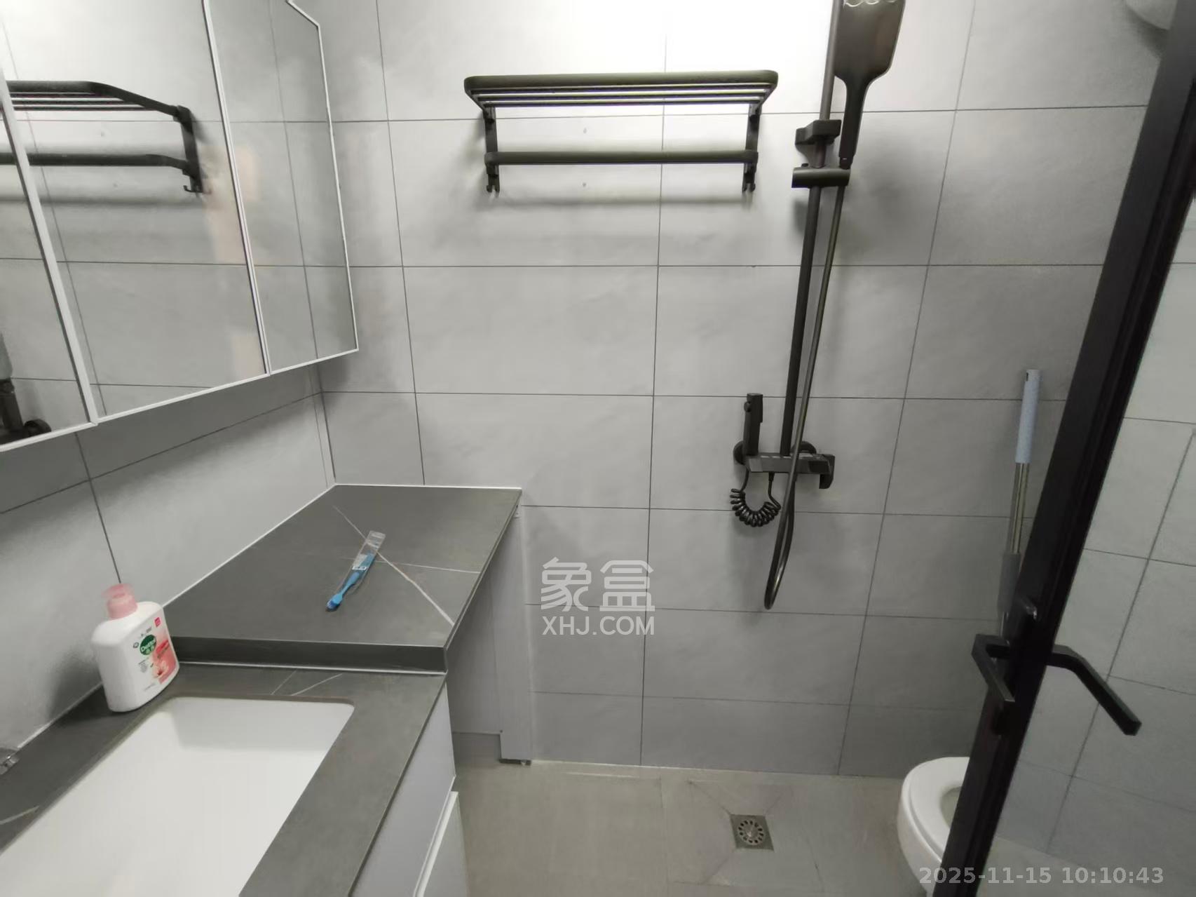 碧桂园城市之光  1室1厅1卫    2900.0元/月室内图