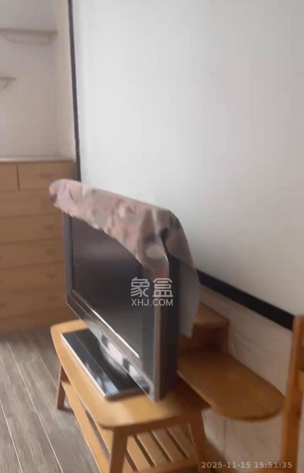 金茂梅溪湖  1室1厅1卫    1400.0元/月室内图