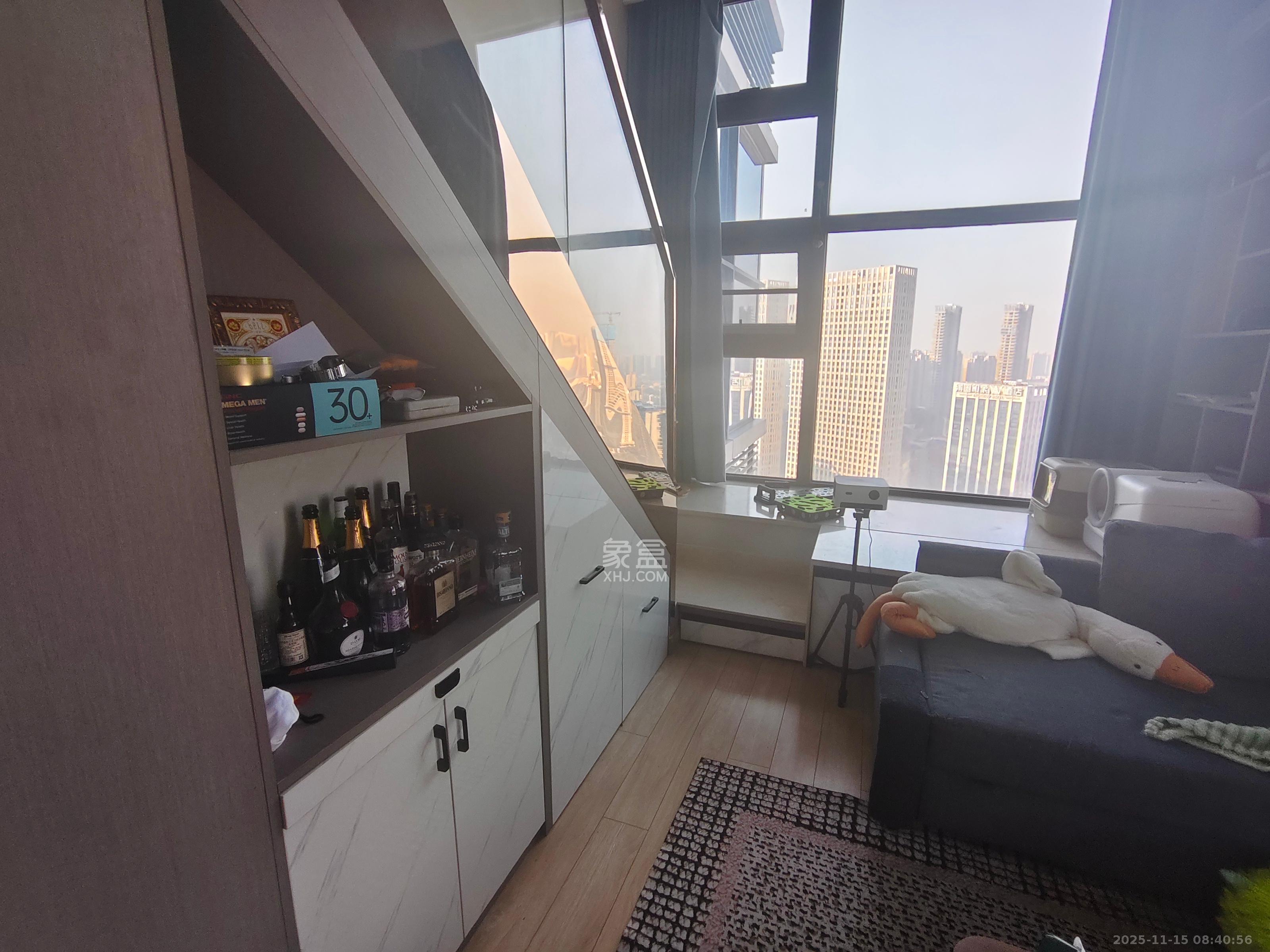 远洋外滩壹号  1室1厅1卫    3000.0元/月室内图