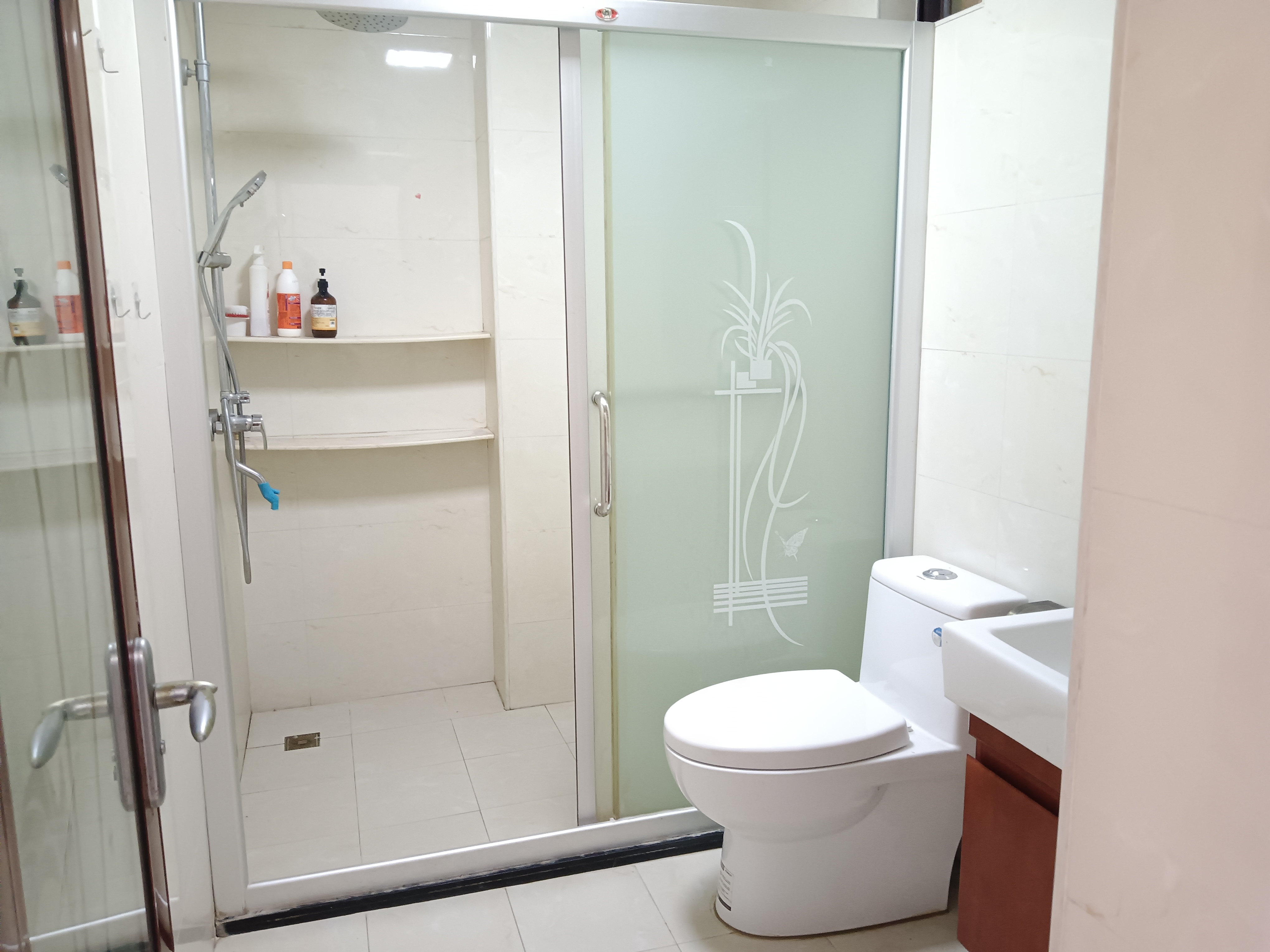 鑫生棕榈泉国际公馆  3室2厅1卫    2600.0元/月室内图