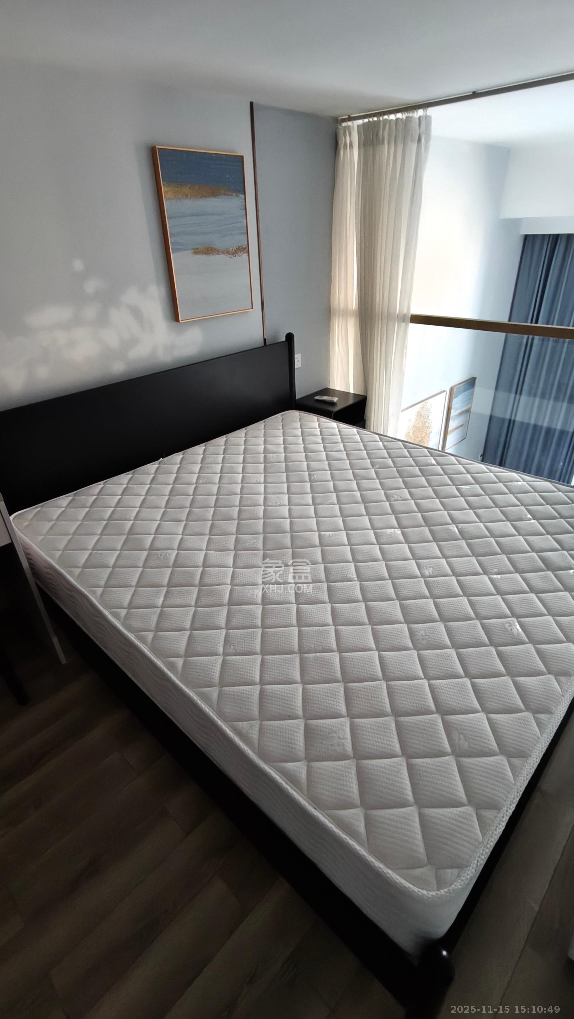 藏珑湖上公馆  1室0厅0卫    3000.0元/月室内图