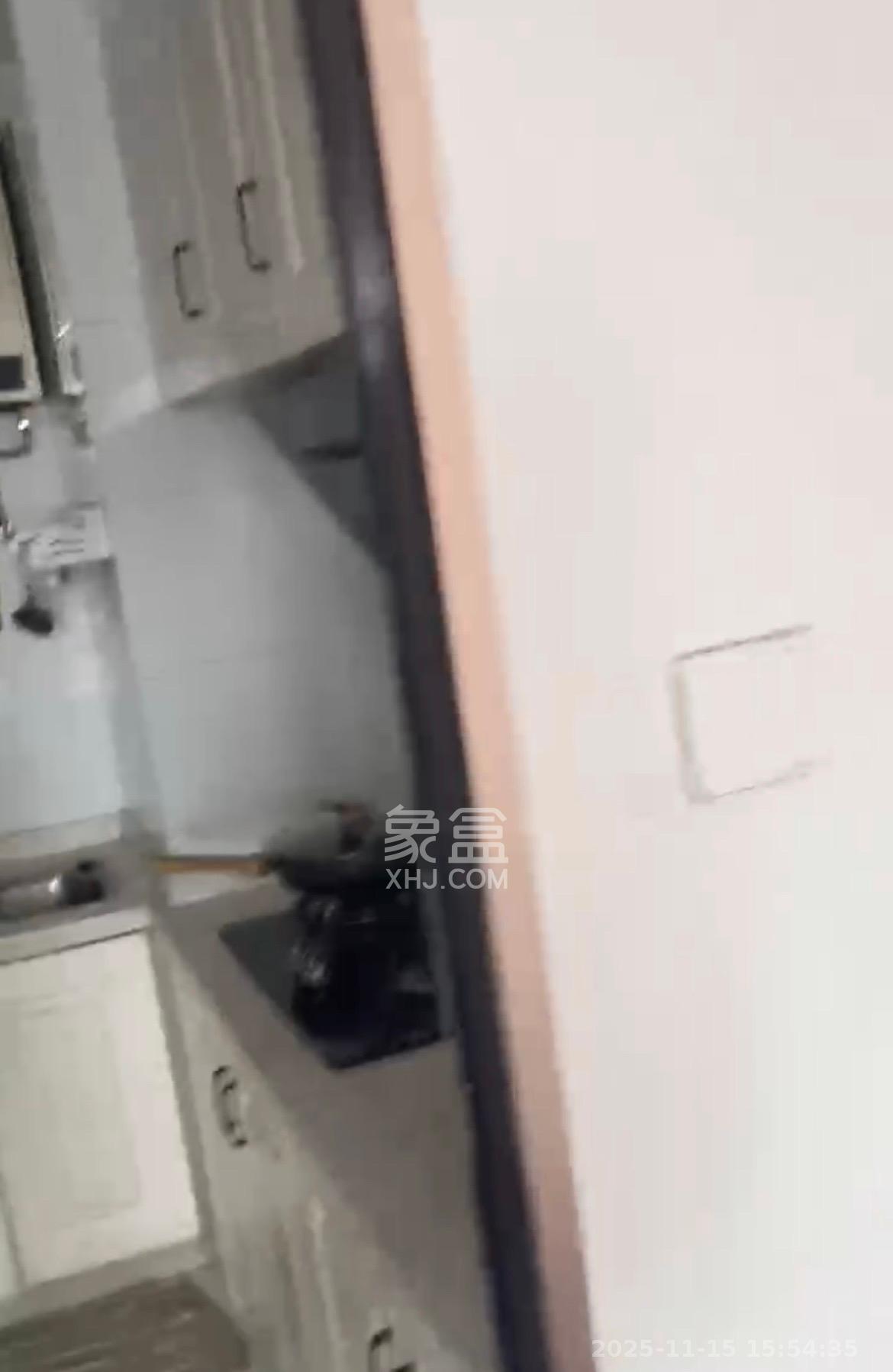 达美美立方  2室1厅1卫    2300.0元/月室内图