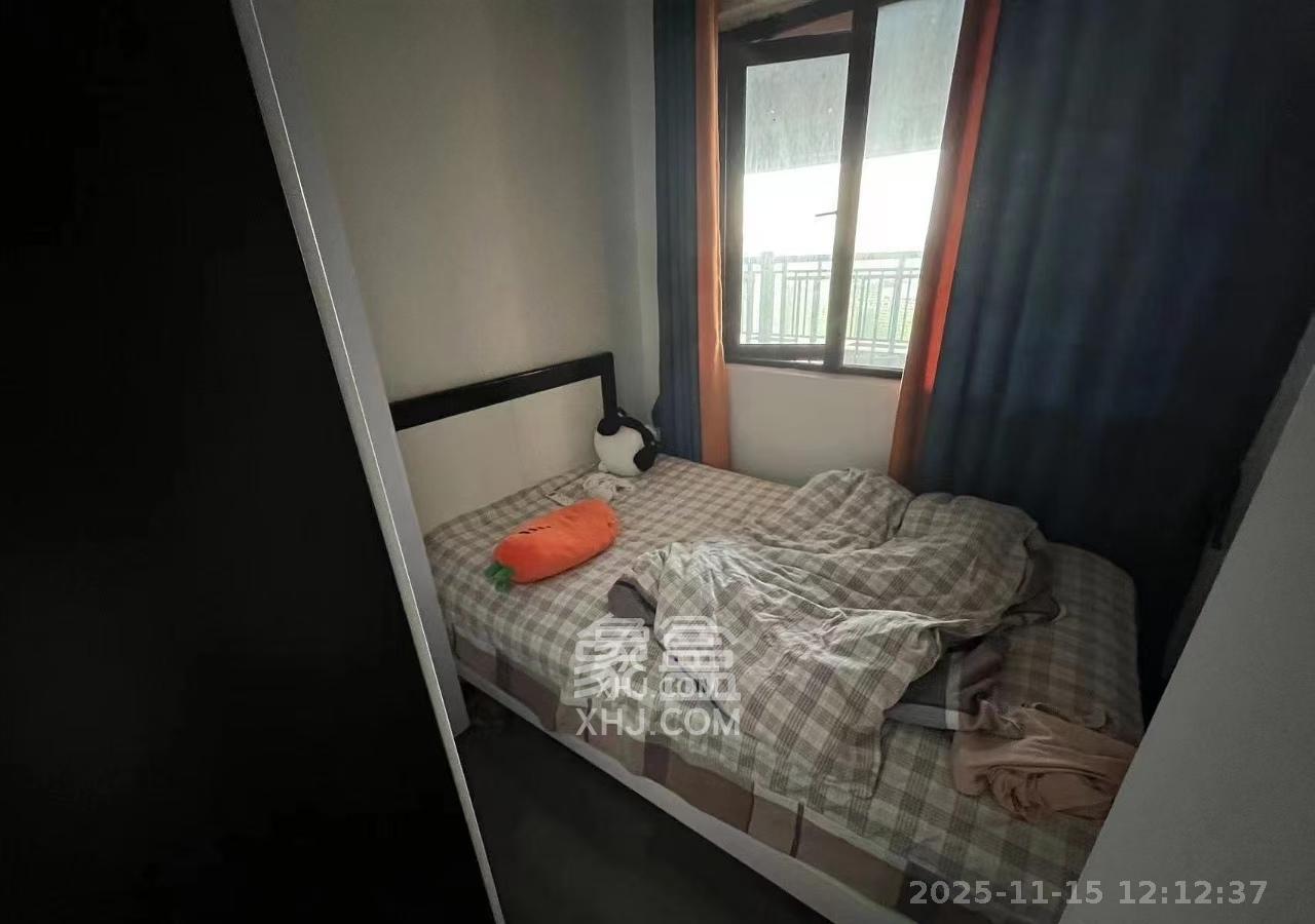 蓝光雍锦半岛  3室2厅2卫    2500.0元/月室内图