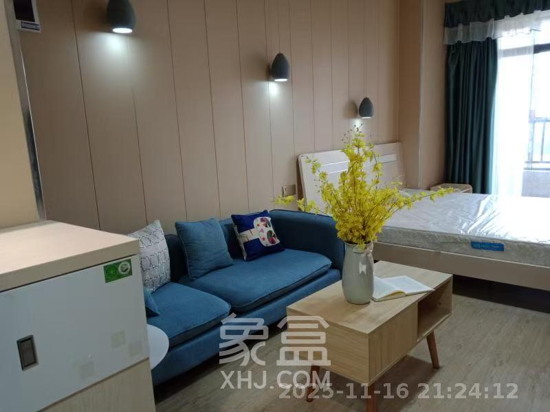 梅溪国际公寓（步步高新天地）  1室1厅1卫    1500.0元/月室内图