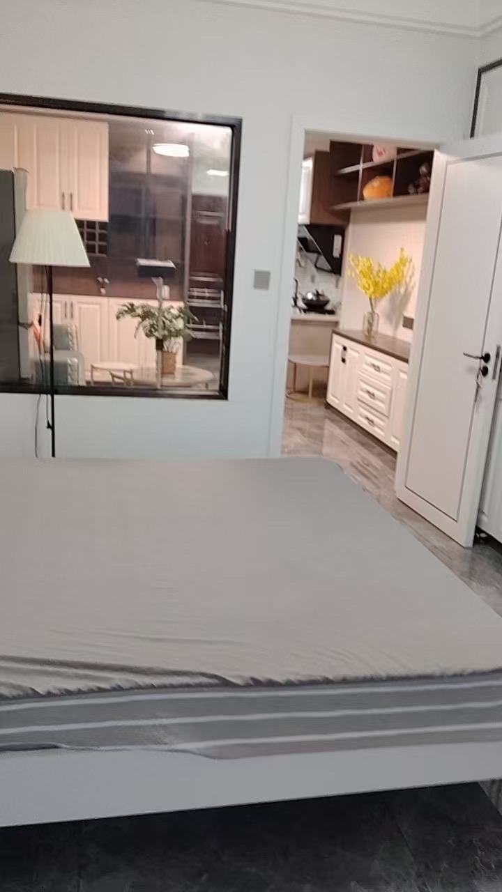 江岸公馆  1室1厅1卫    2200.0元/月室内图