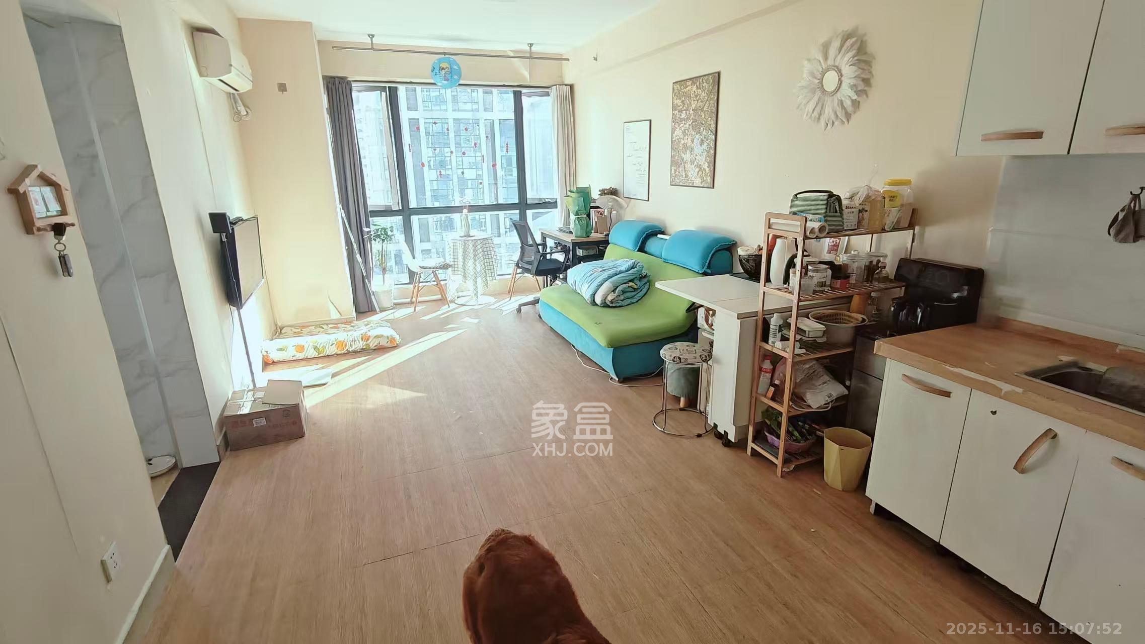 融科东南海  1室1厅1卫    2000.0元/月室内图