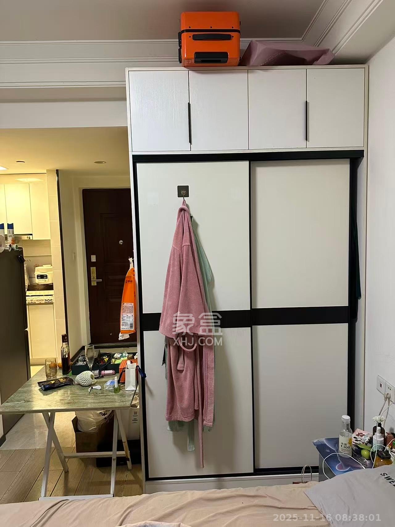 中海梅溪湖壹号  1室1厅1卫    1700.0元/月室内图