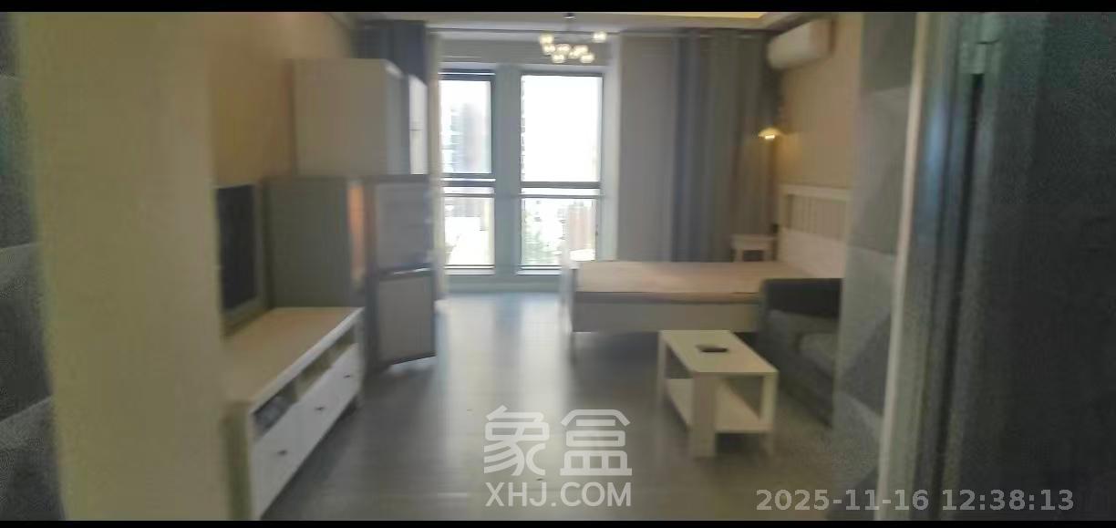 新世界广场  1室1厅1卫    1300.0元/月室内图