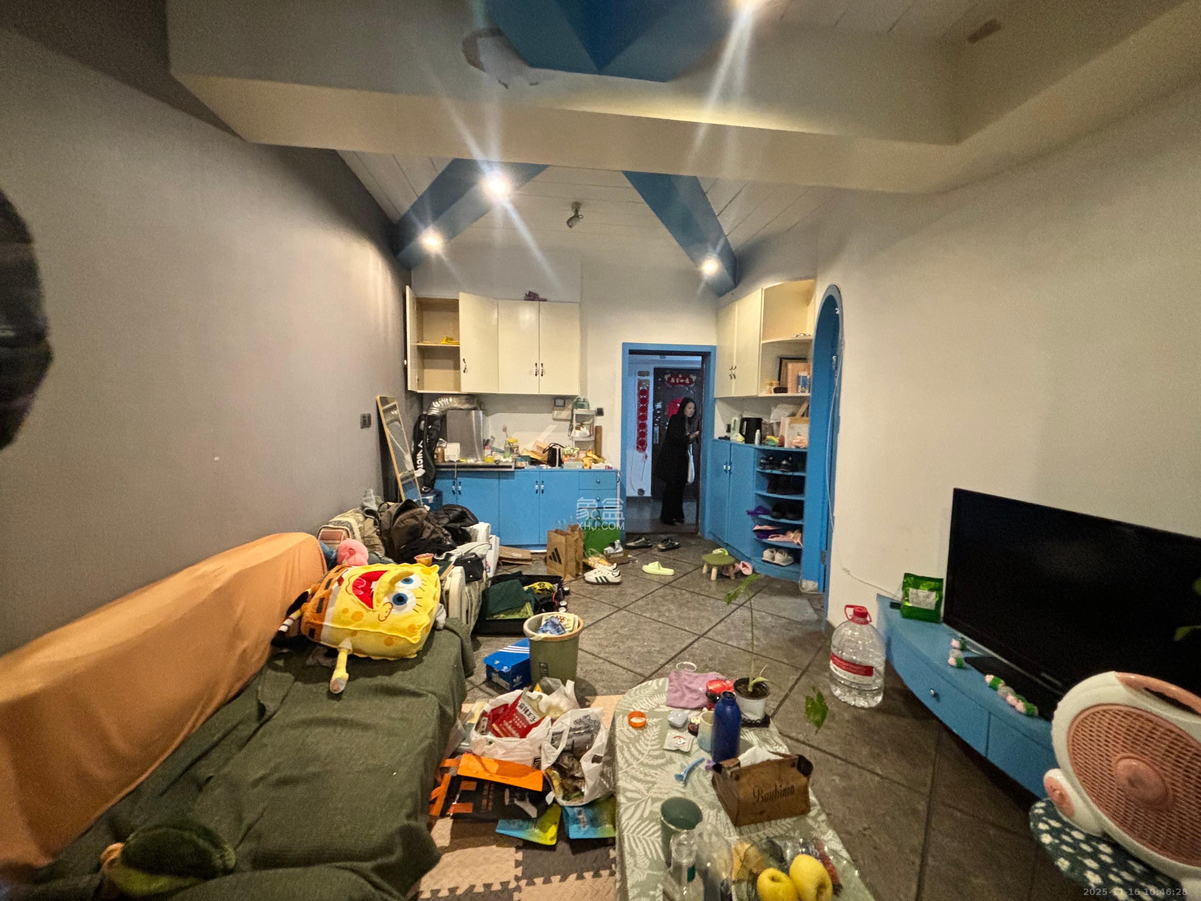 万树丹堤  2室1厅1卫    53.0万