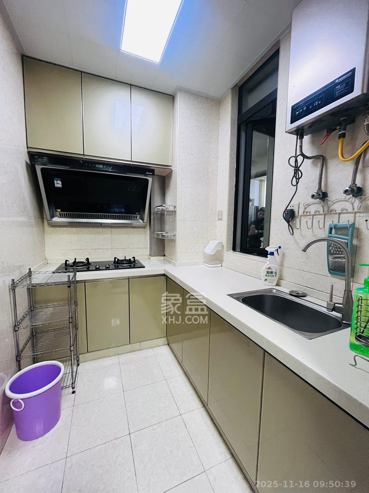 麓谷星辰  1室1厅1卫    1900.0元/月室内图